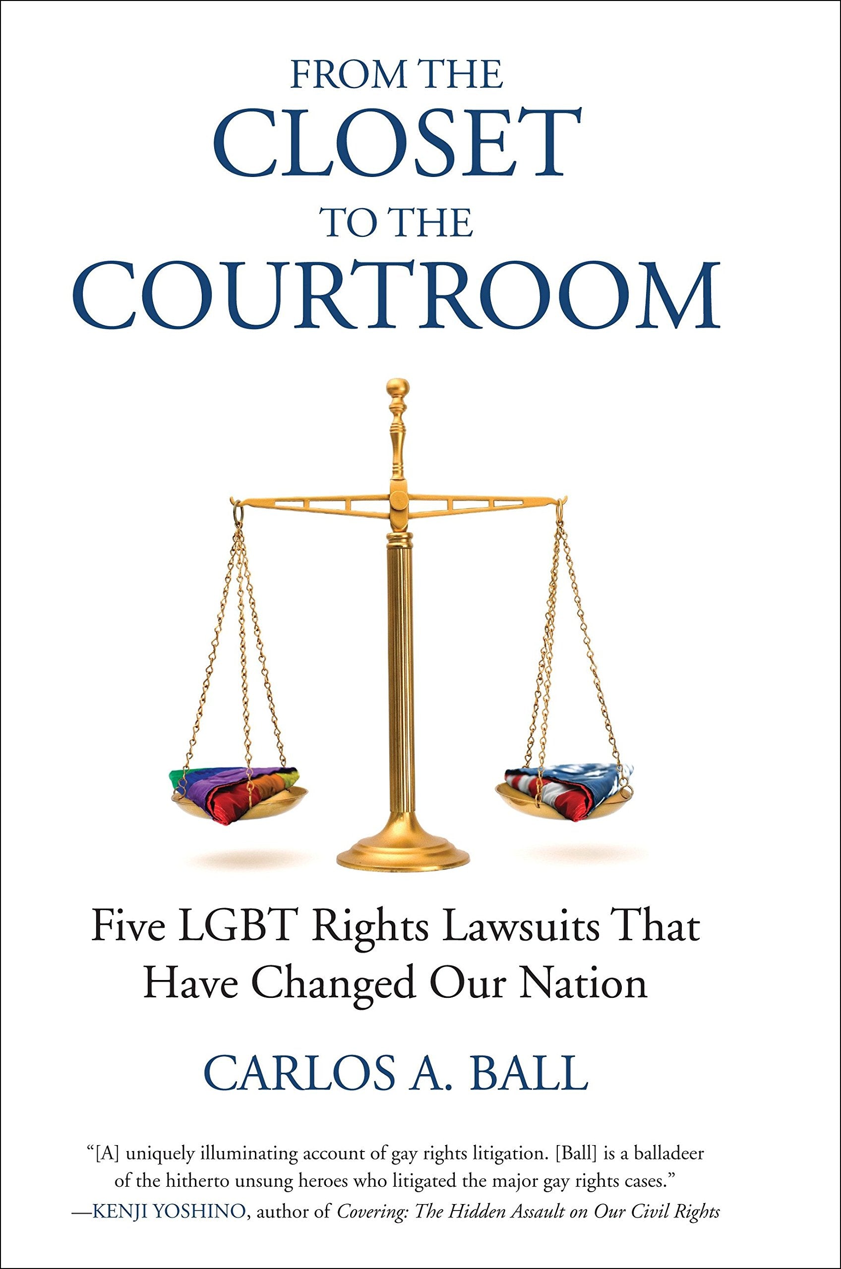 From the Closet to the Courtroom: Five LGBT Rights Lawsuits That Have Changed Our Nation (Queer Ideas/Queer Action),Used