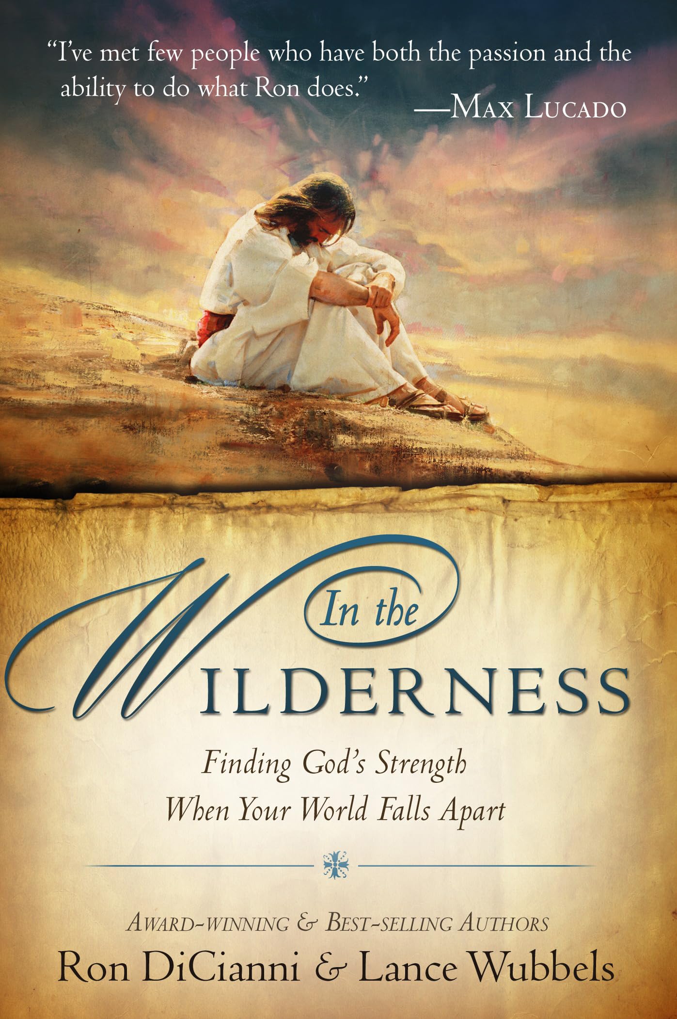 In The Wilderness: Finding God's Strength When Your World Falls Apart,Used