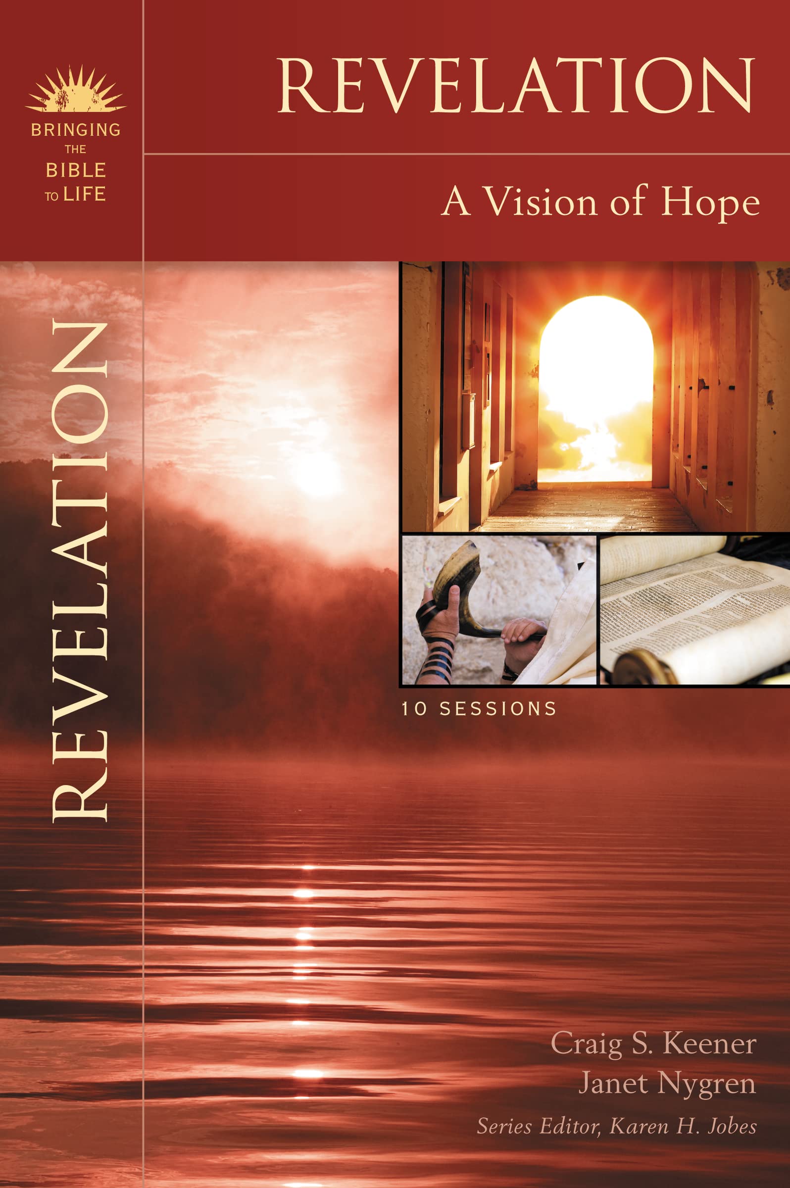 Revelation: A Vision of Hope (Bringing the Bible to Life),Used