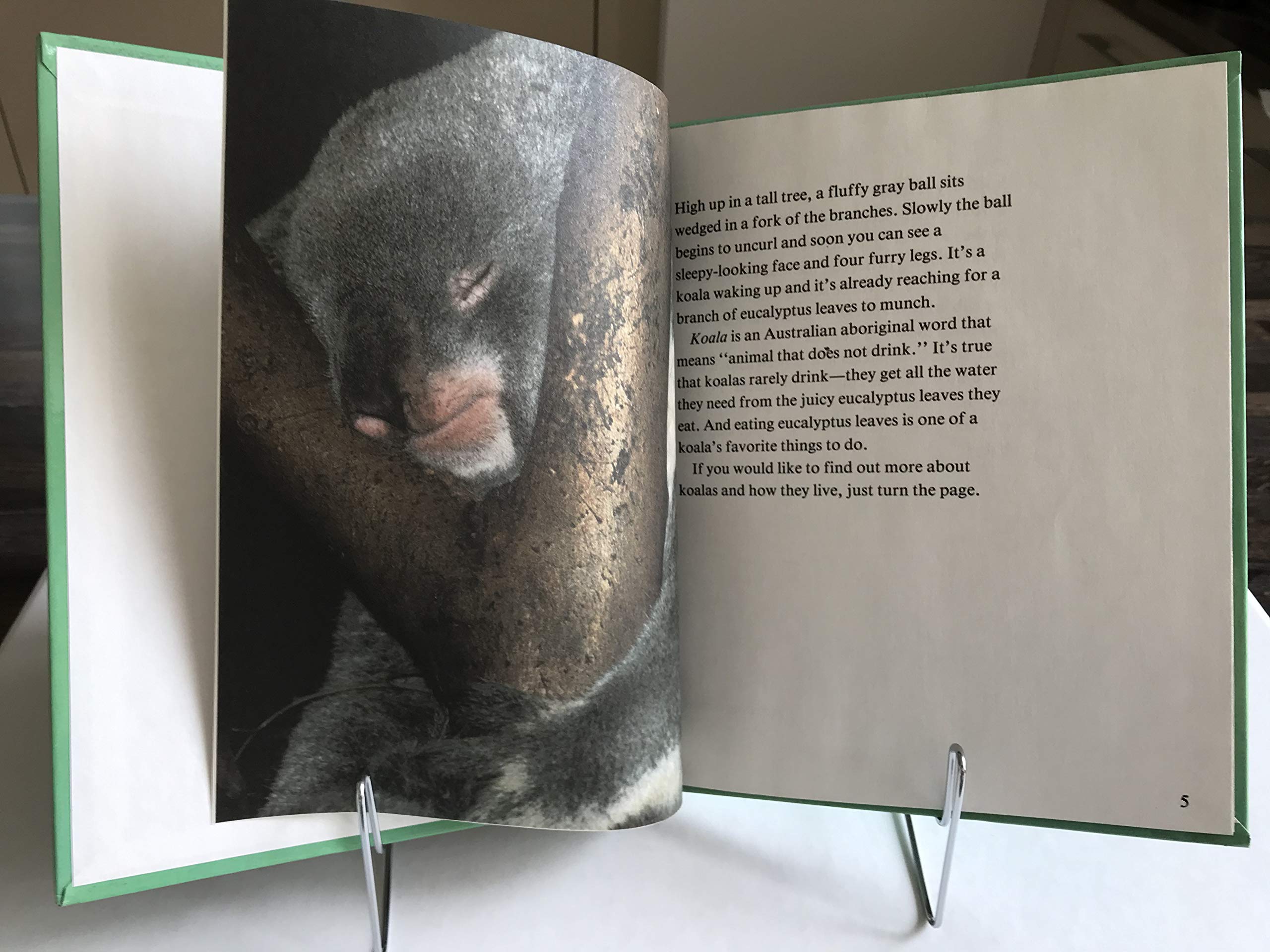 Koalas (Nature'S Children),Used