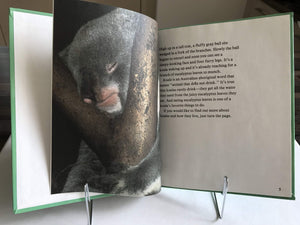 Koalas (Nature'S Children),Used