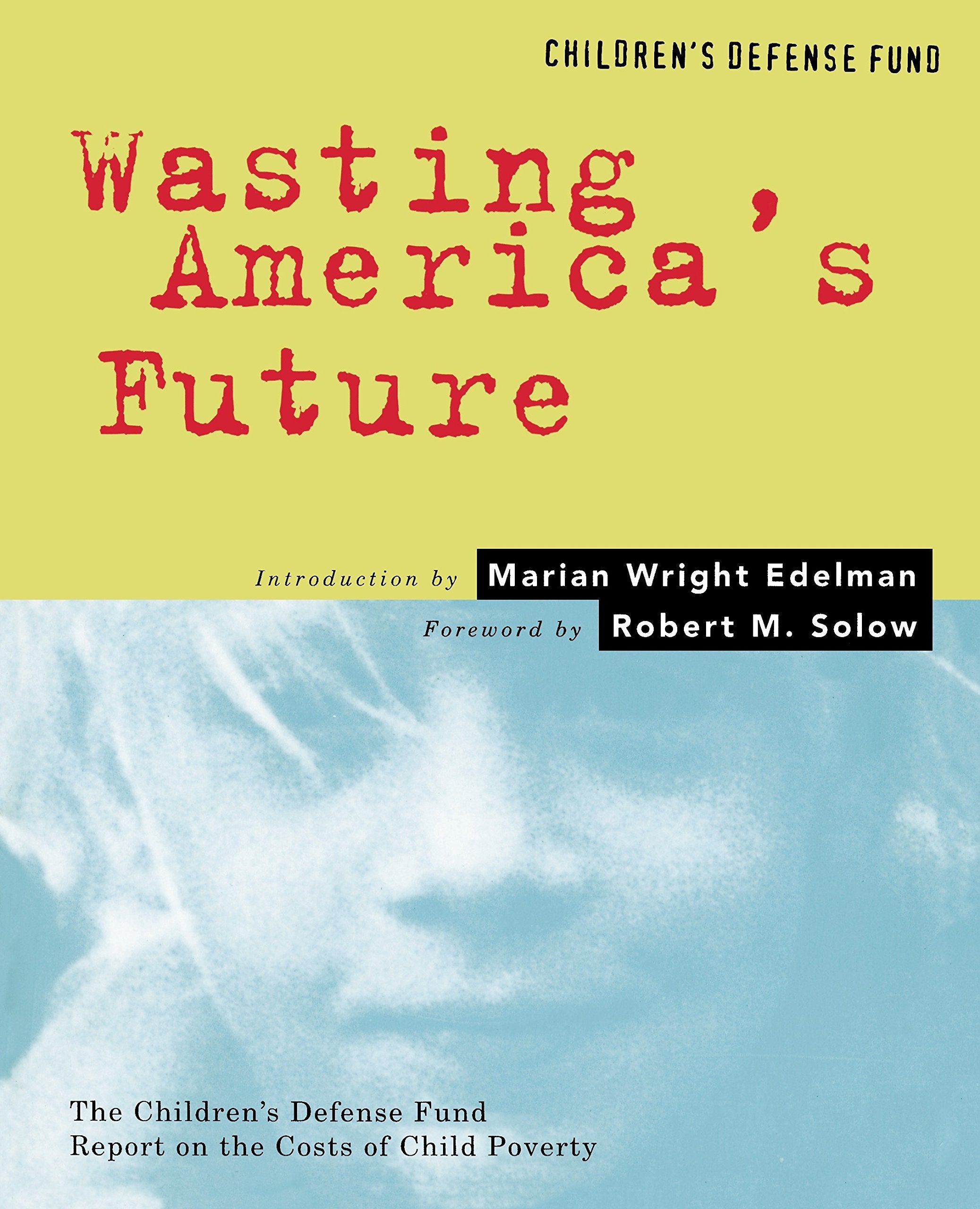 Wasting America'S Future,Used