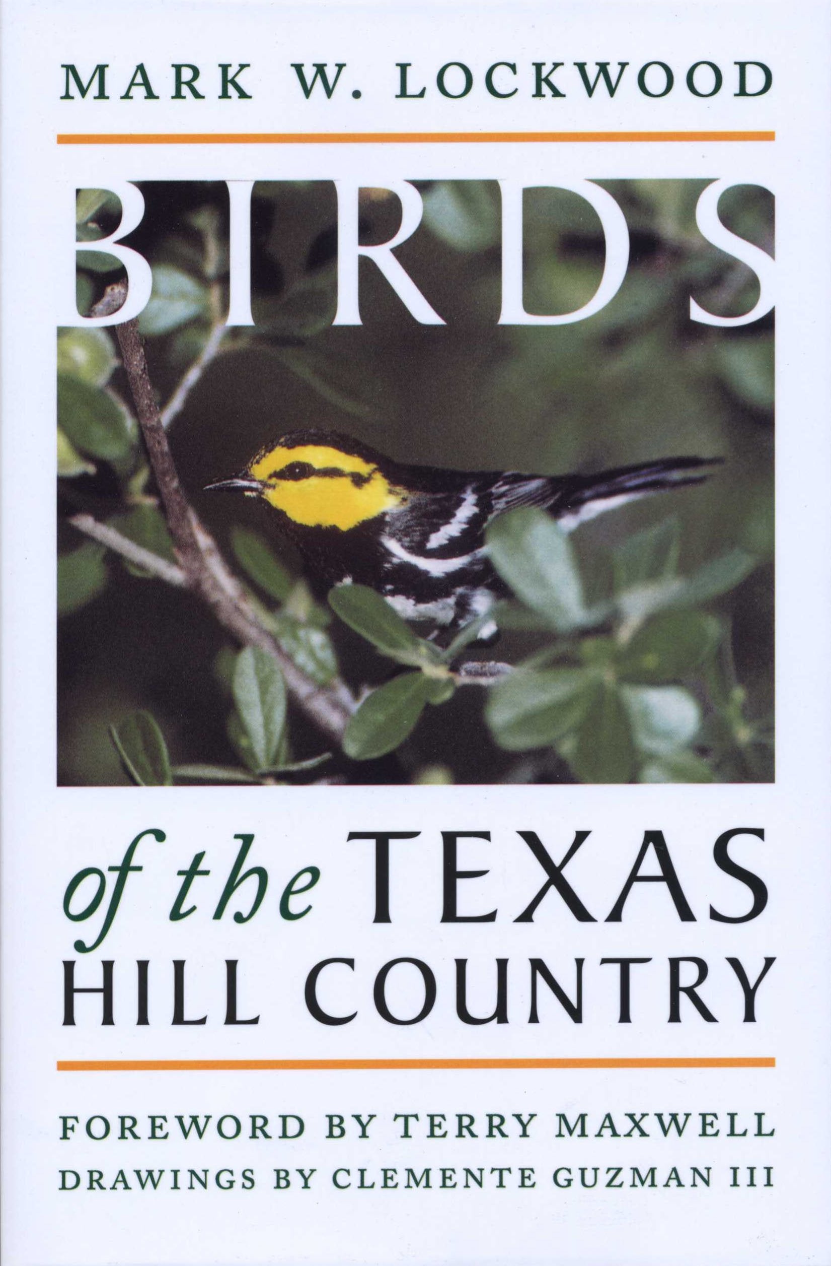 Birds of the Texas Hill Country (Corrie Herring Hooks Series),Used