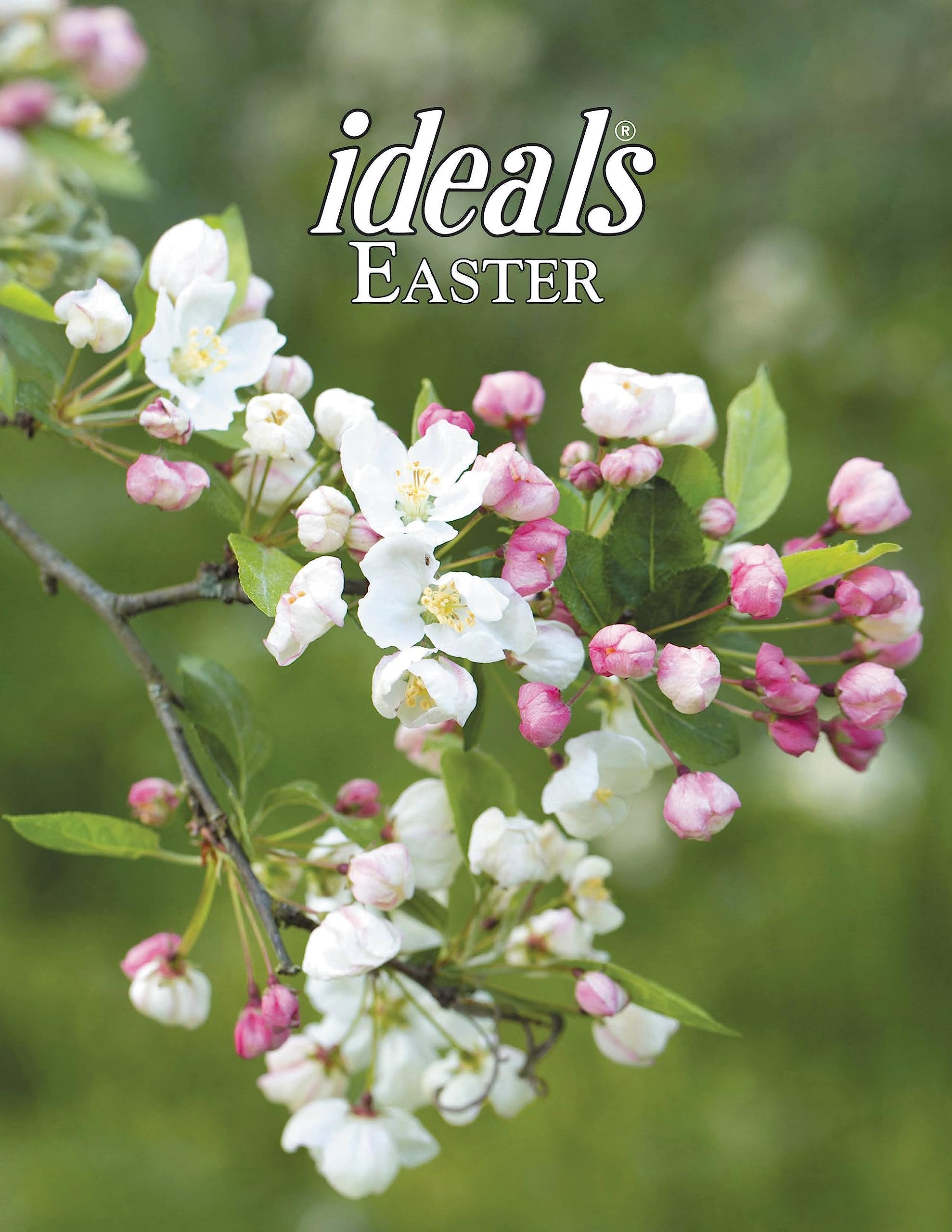 Easter Ideals 2024,Used
