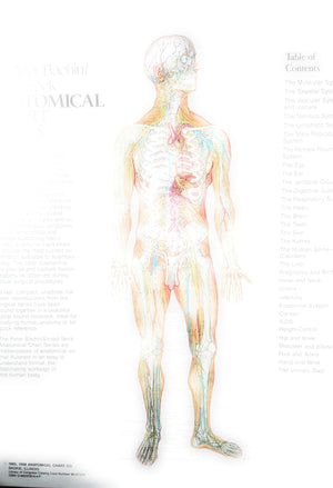 The Anatomical Chart Series,Used