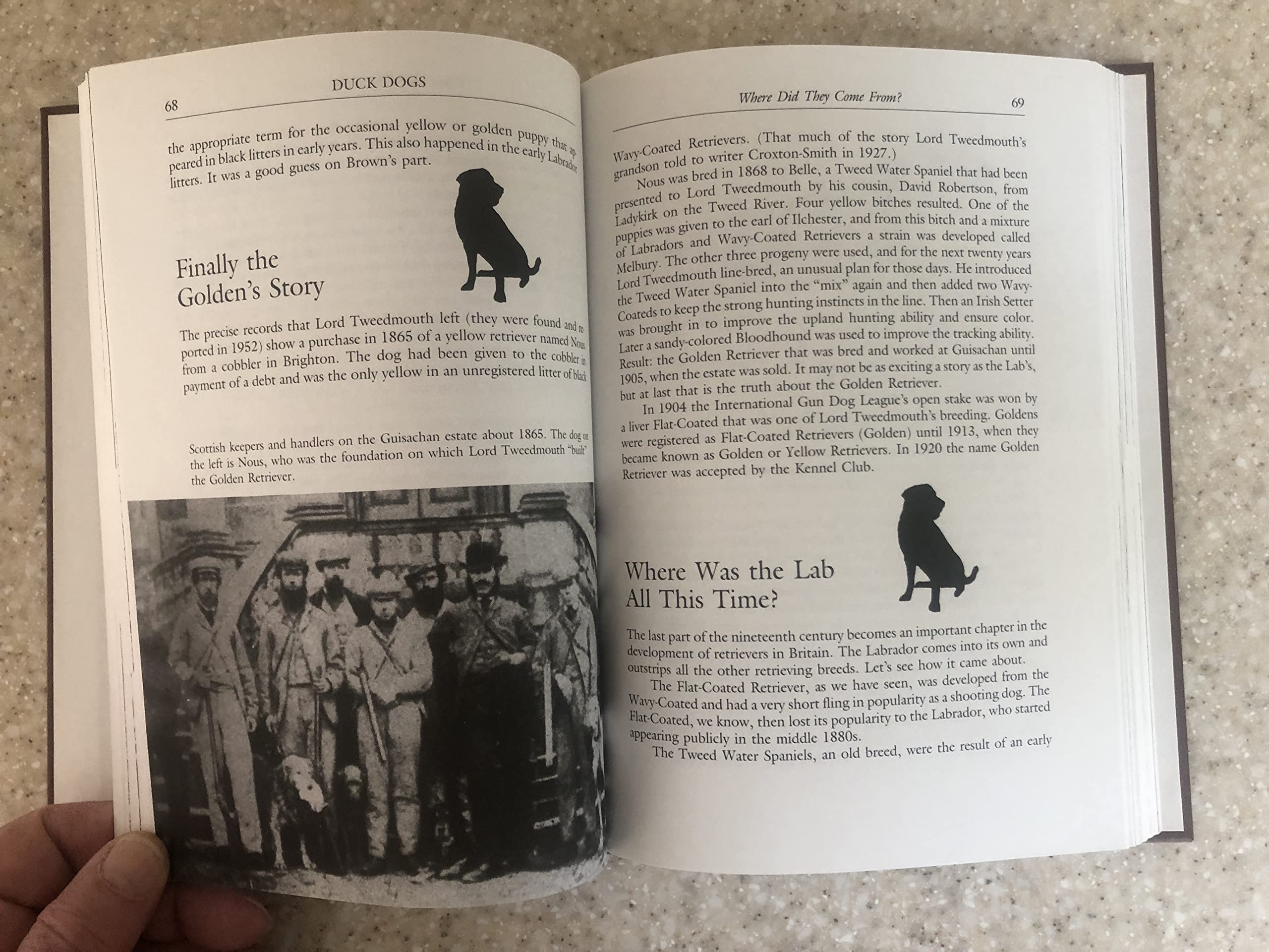 Duck Dogs: All About Retrievers,Used