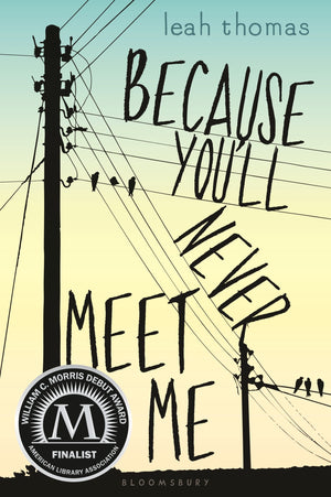 Because You'll Never Meet Me,Used
