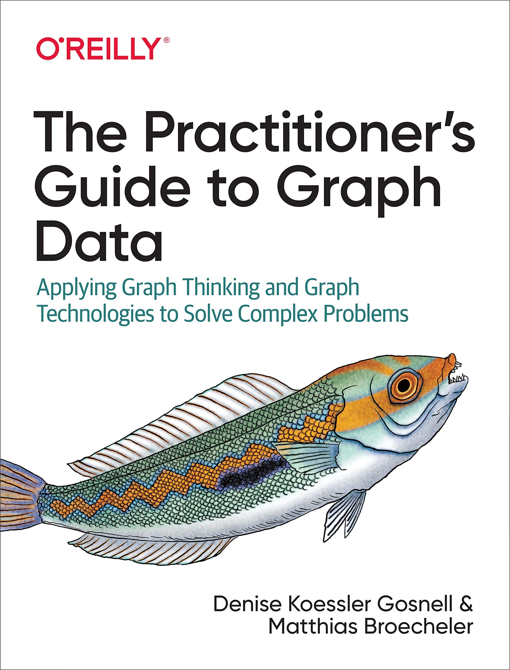 The Practitioner's Guide to Graph Data: Applying Graph Thinking and Graph Technologies to Solve Complex Problems,Used