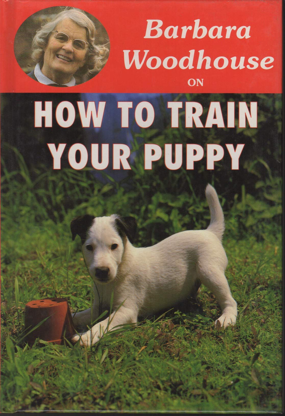 How to Train Your Puppy (Barbara Woodhouse on),Used