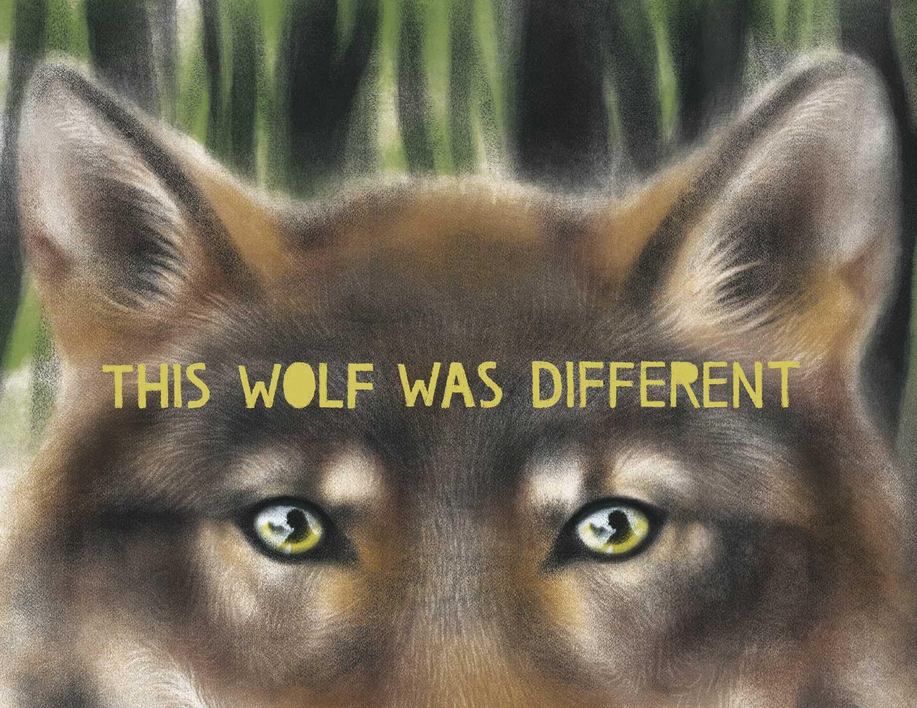 This Wolf Was Different,New