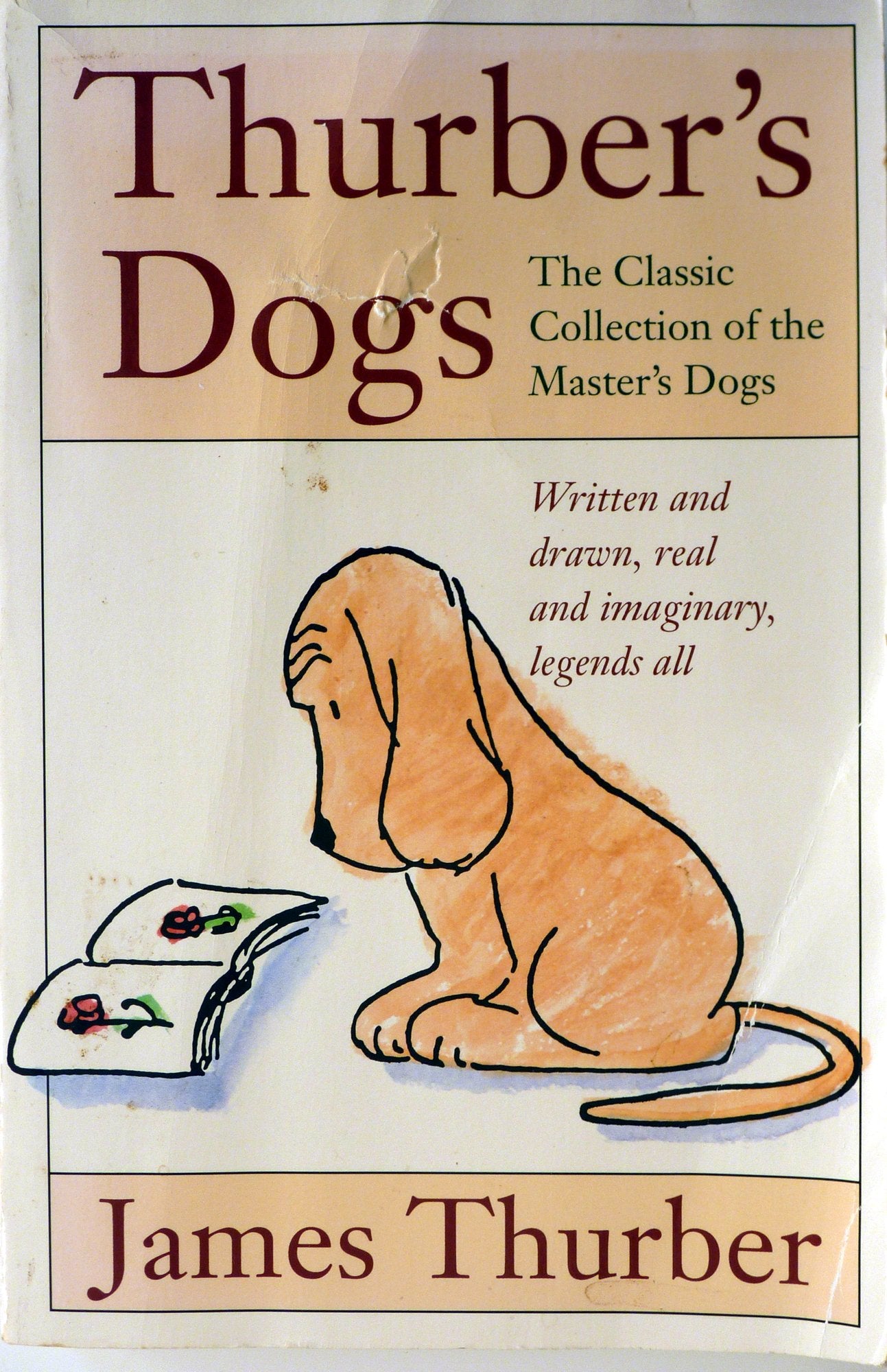 Thurber'S Dogs,Used