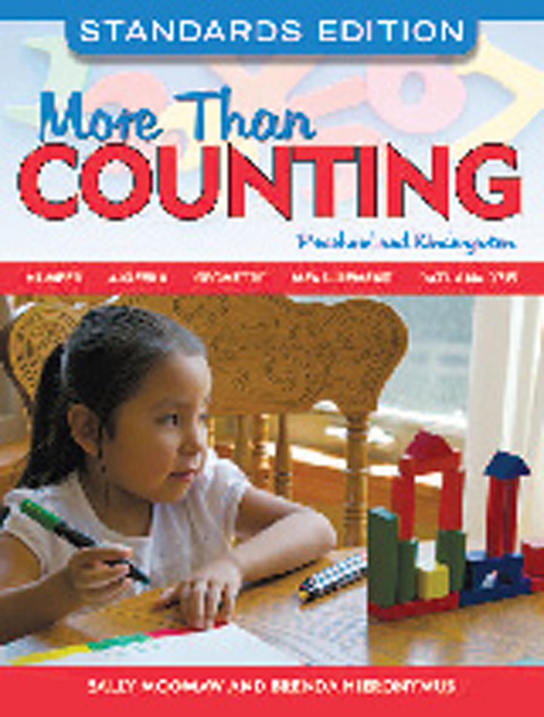 More Than Counting: Math Activities for Preschool and Kindergarten, Standards Edition (NONE),Used