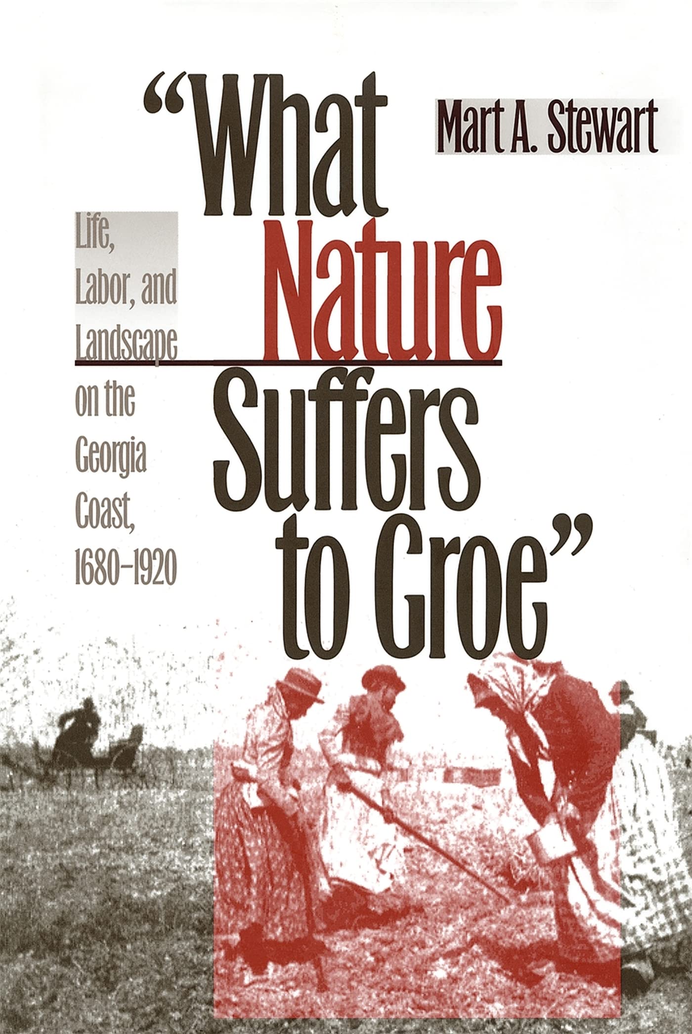 What Nature Suffers To Groe: Life, Labor, And Landscape On The Georgia Coast, 16801920 (Wormsloe Foundation Publication Ser.)
