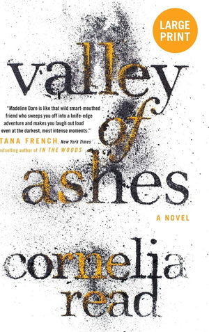 Valley Of Ashes (A Madeline Dare Novel, 4)