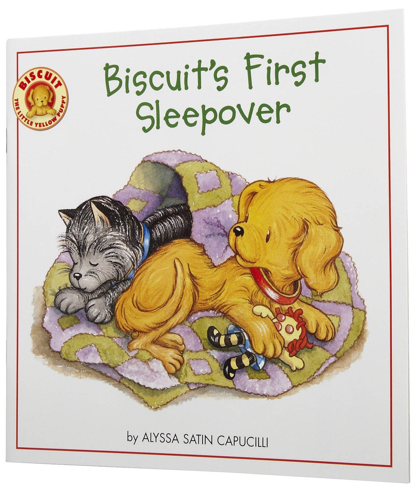Biscuit's First Sleepover,Used