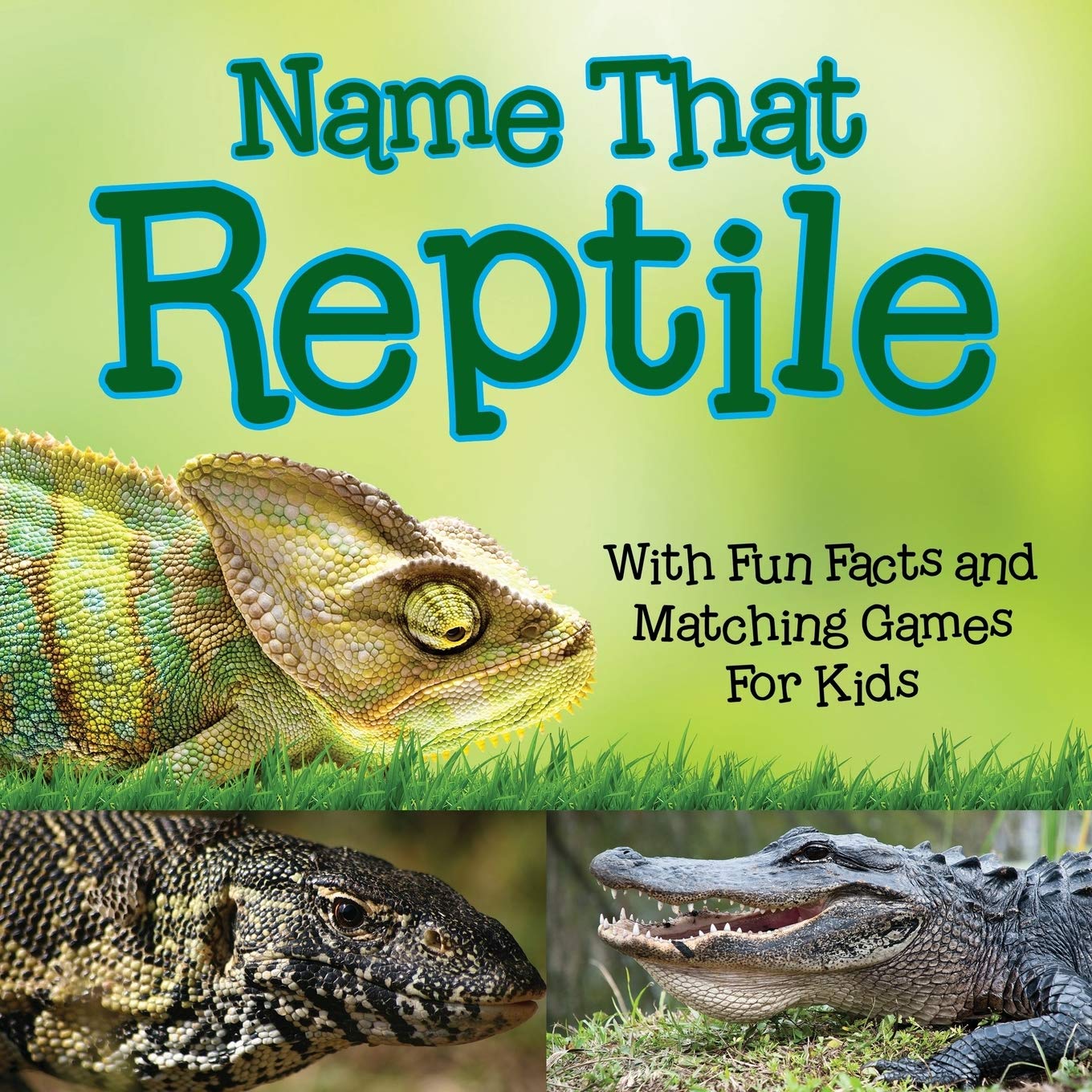 Name That Reptile: With Fun Facts and Matching Games For Kids,Used