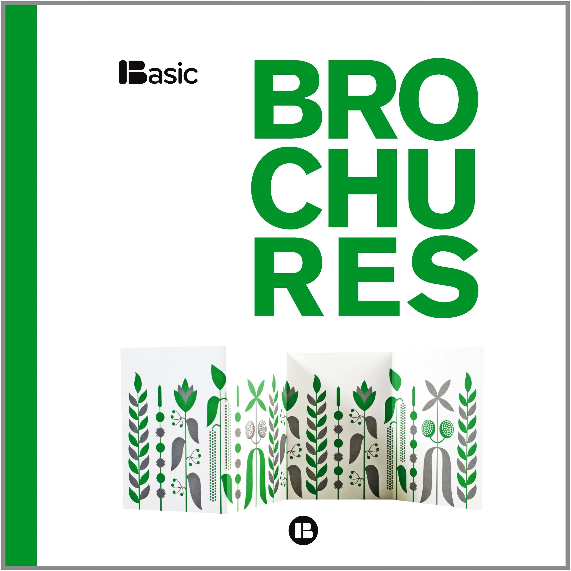 Basic Brochures,Used