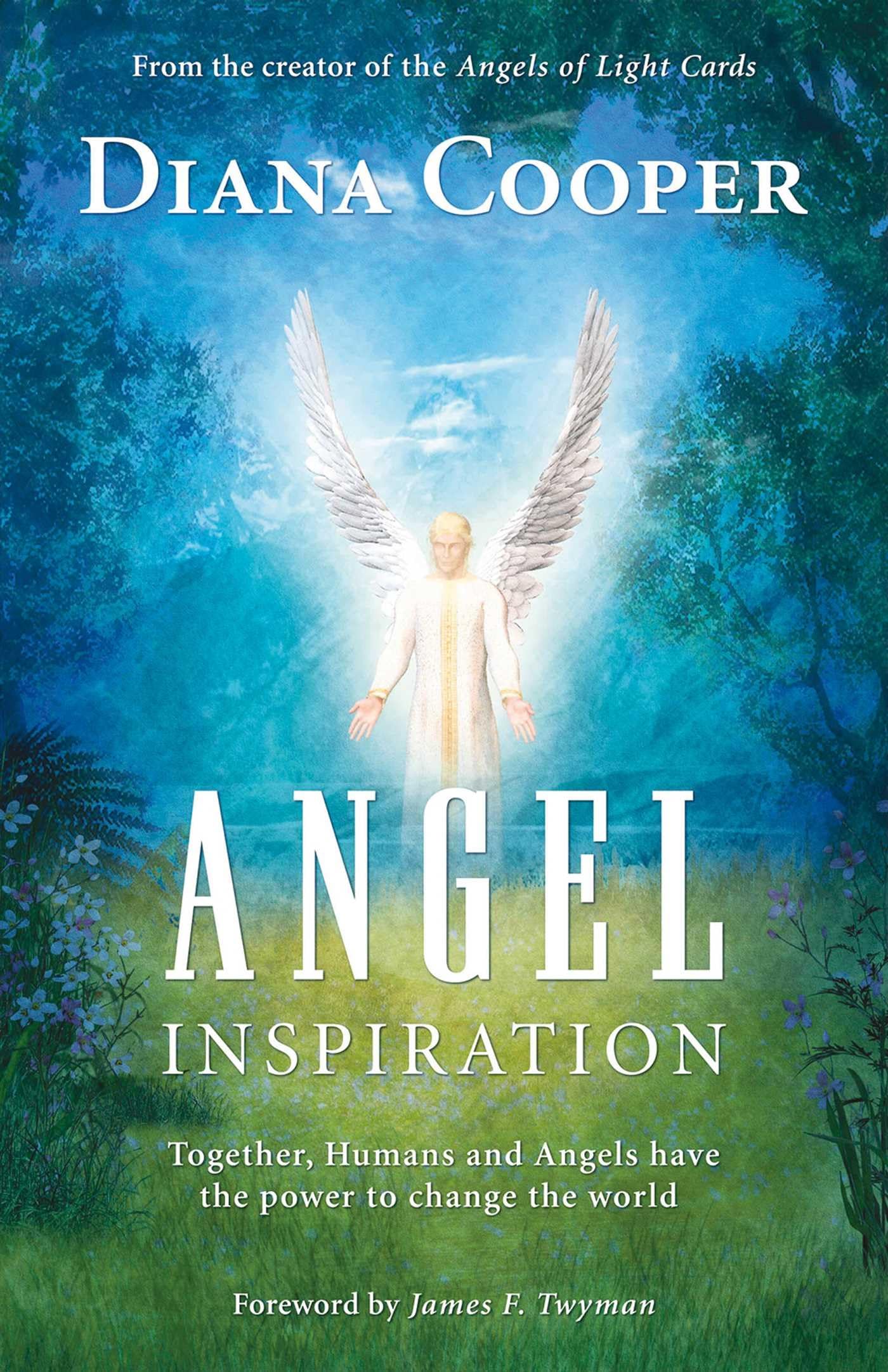 Angel Inspiration: Together, Humans and Angels Have the Power to Change the World,Used