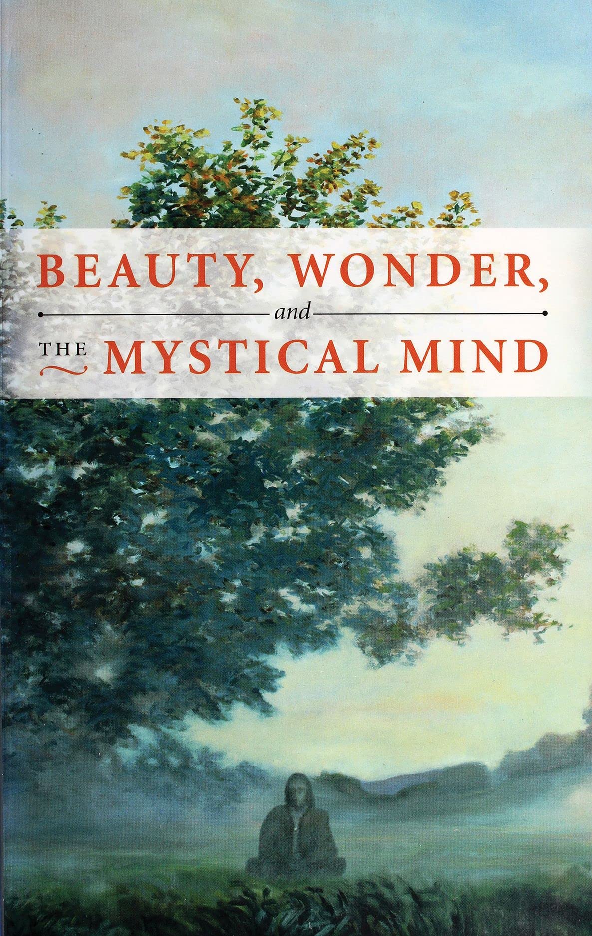 BEAUTY, WONDER, AND THE MYSTICAL MIND,Used