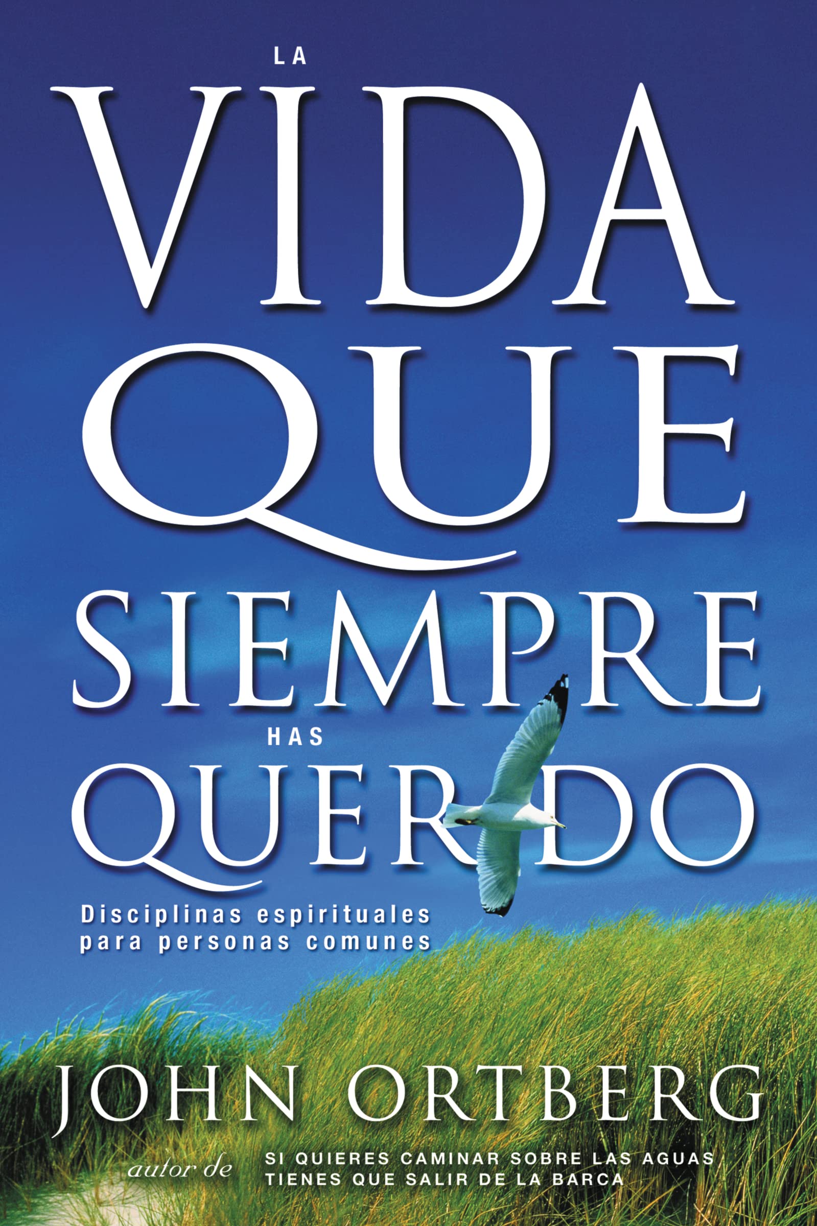 La vida que siempre has querido: Disciplinas espirituales para personas comunes (Spanish Edition),Used