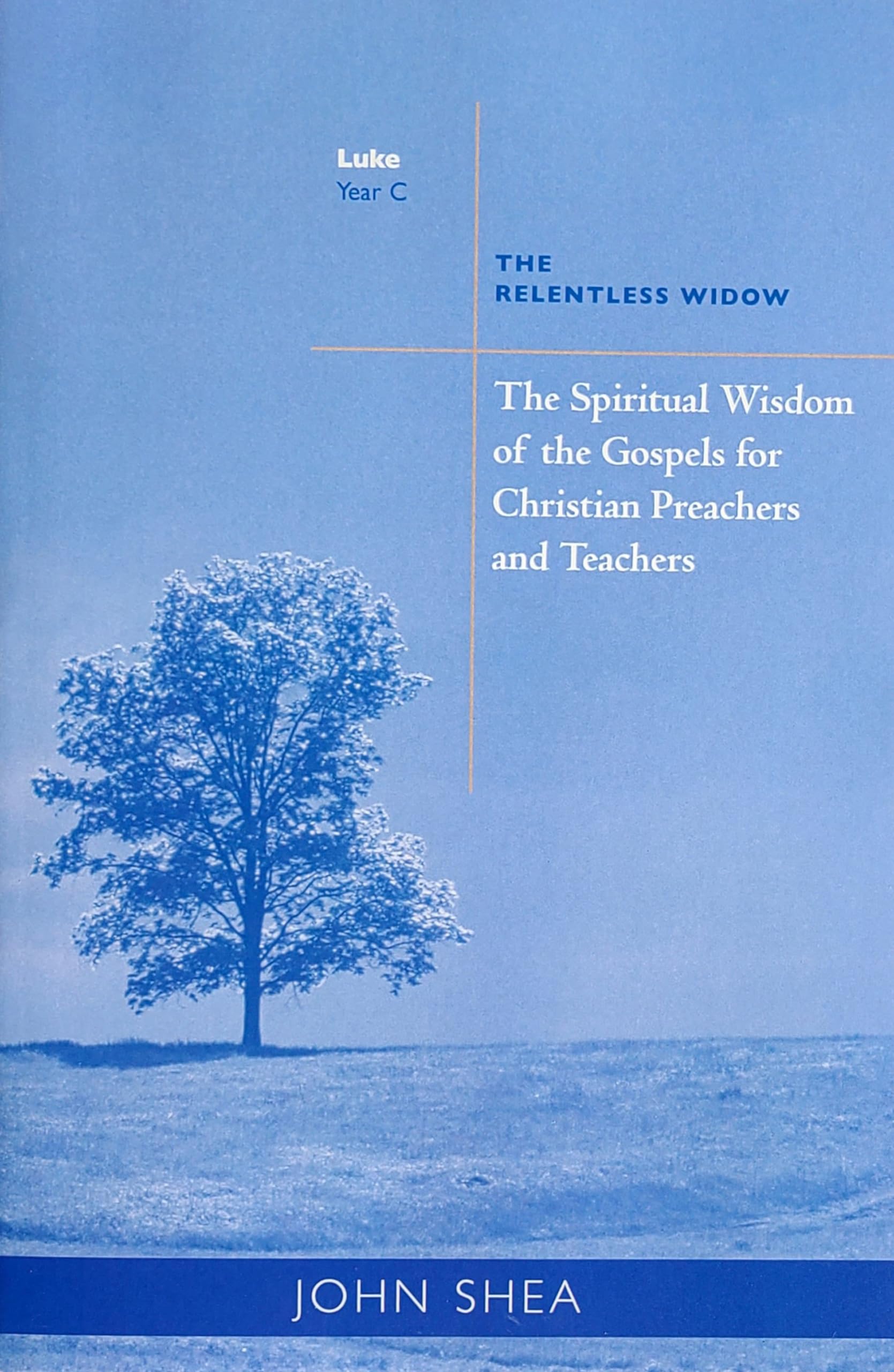 Spiritual Wisdom Of The Gospels For Christian Preachers And Teachers: The Relentless Widow, Year C (Volume 3),New