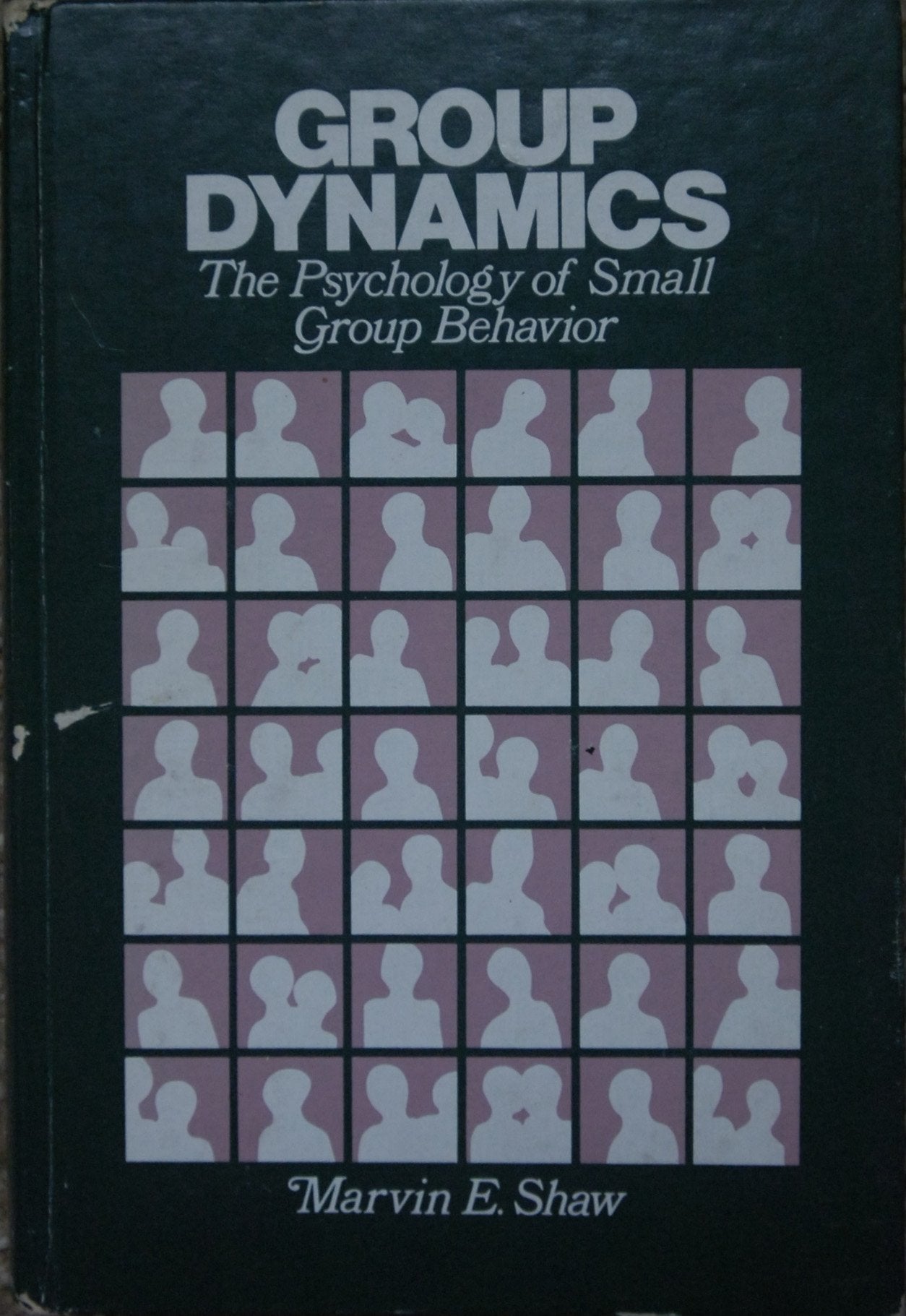 Group Dynamics: The Psychology of Small Group Behavior (McGrawHill series in psychology),New