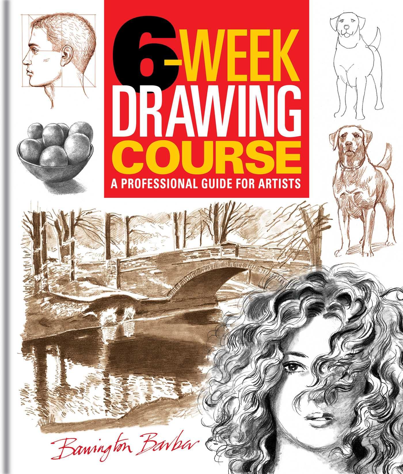 6Week Drawing Course: A Professional Guide For Artists