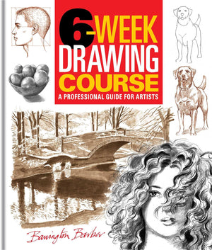 6Week Drawing Course: A Professional Guide For Artists