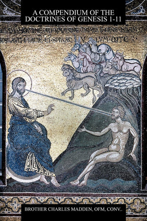 A Compendium Of The Doctrines Of Genesis 111,Used