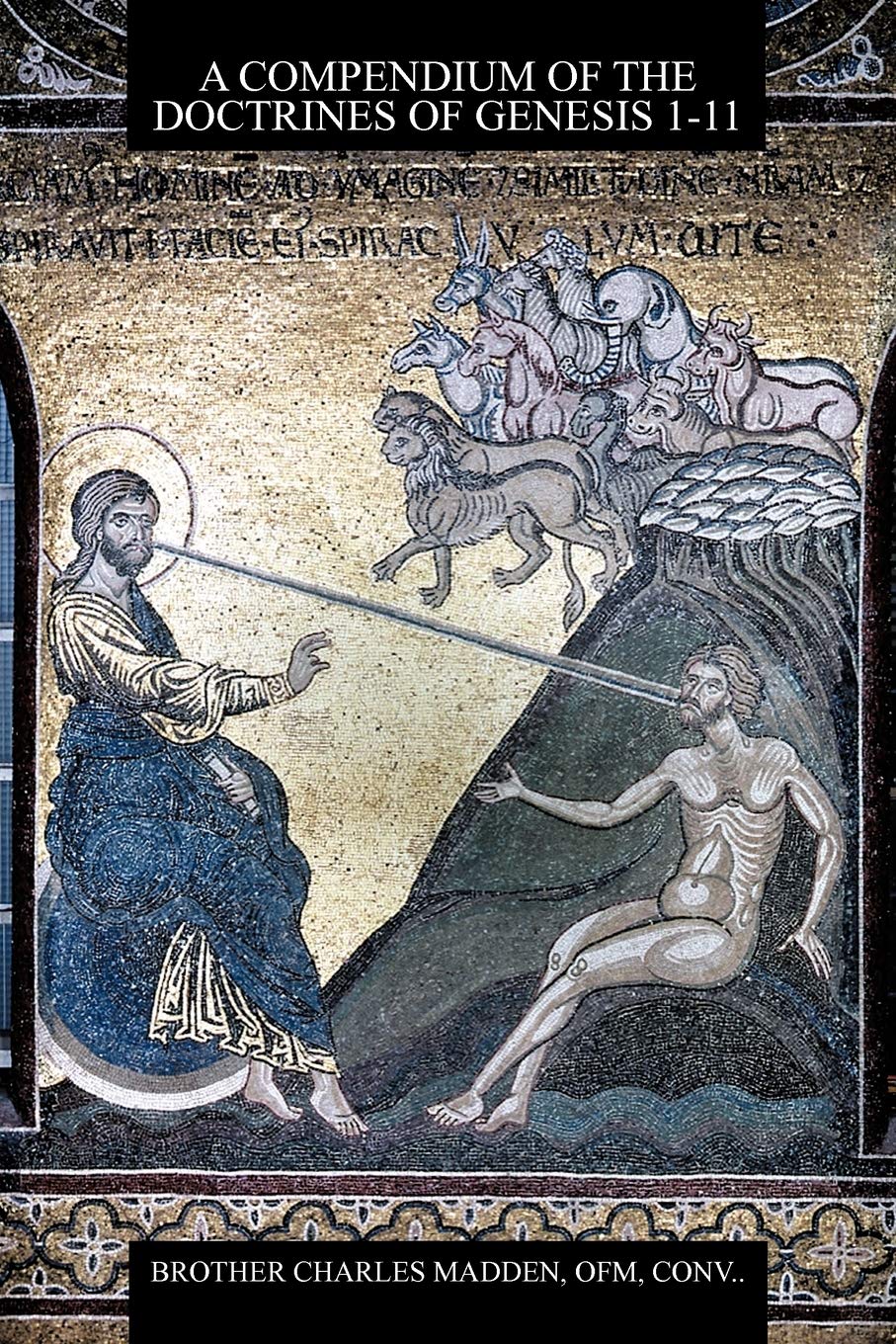 A Compendium Of The Doctrines Of Genesis 111,Used