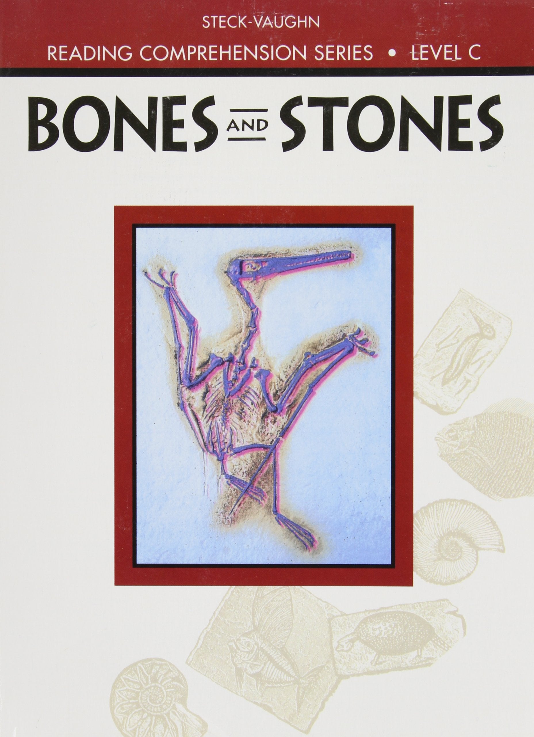 Reading Comprehension, Level C: Bones and Stones,Used
