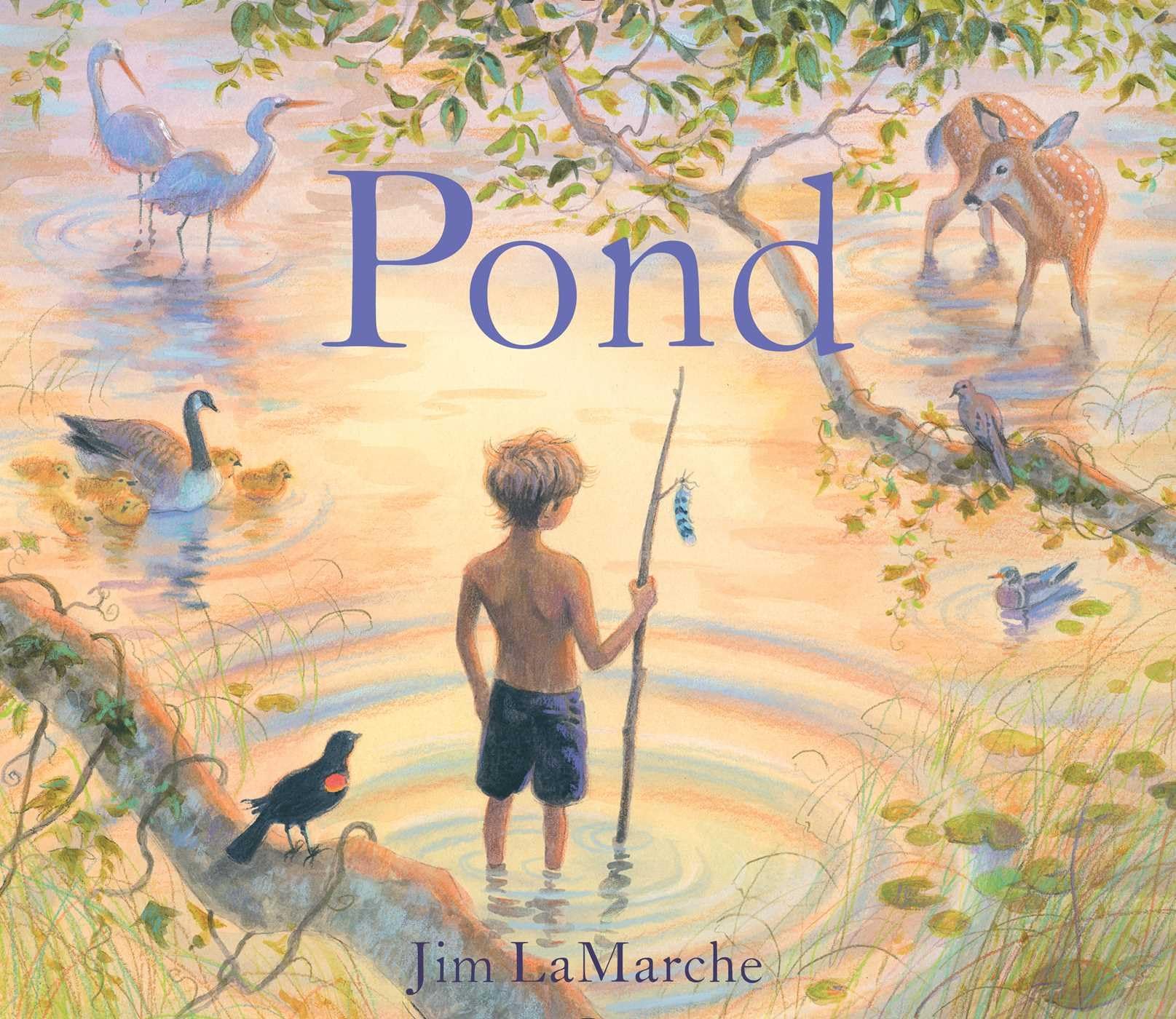 Pond,New
