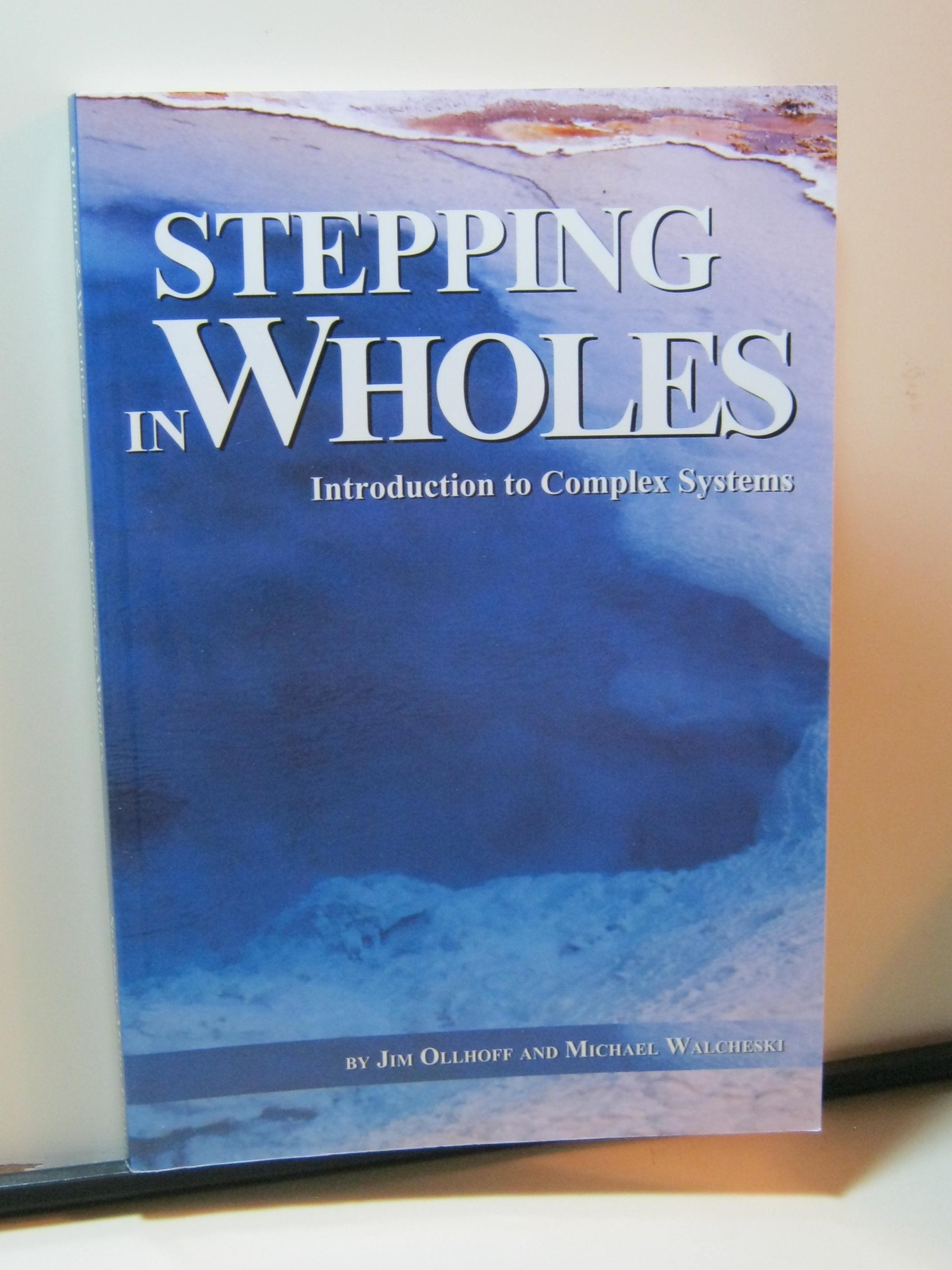 Stepping in Wholes: Introduction to Complex Systems,Used