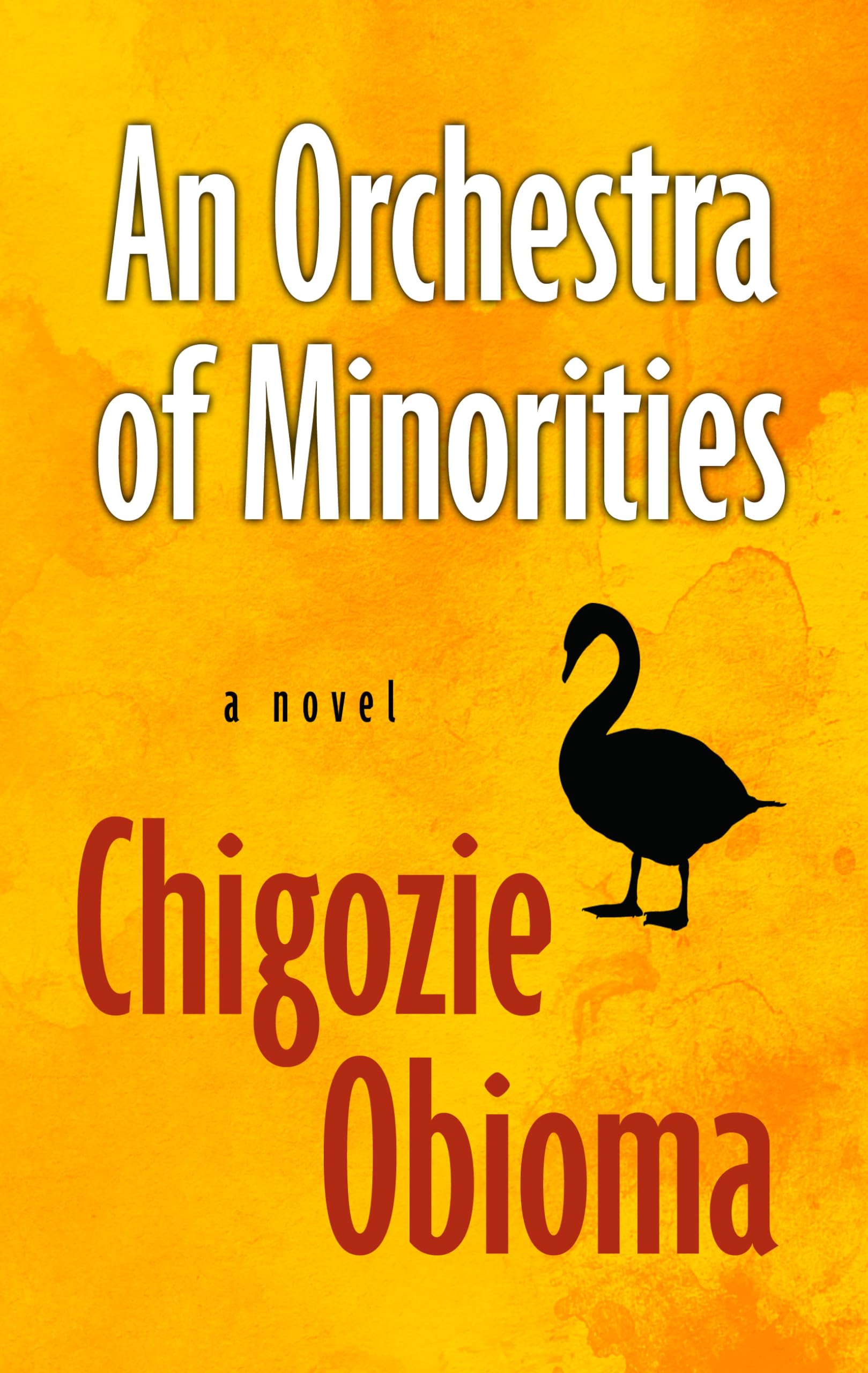 An Orchestra of Minorities (Thorndike Press Large Print Bill's Bookshelf),Used