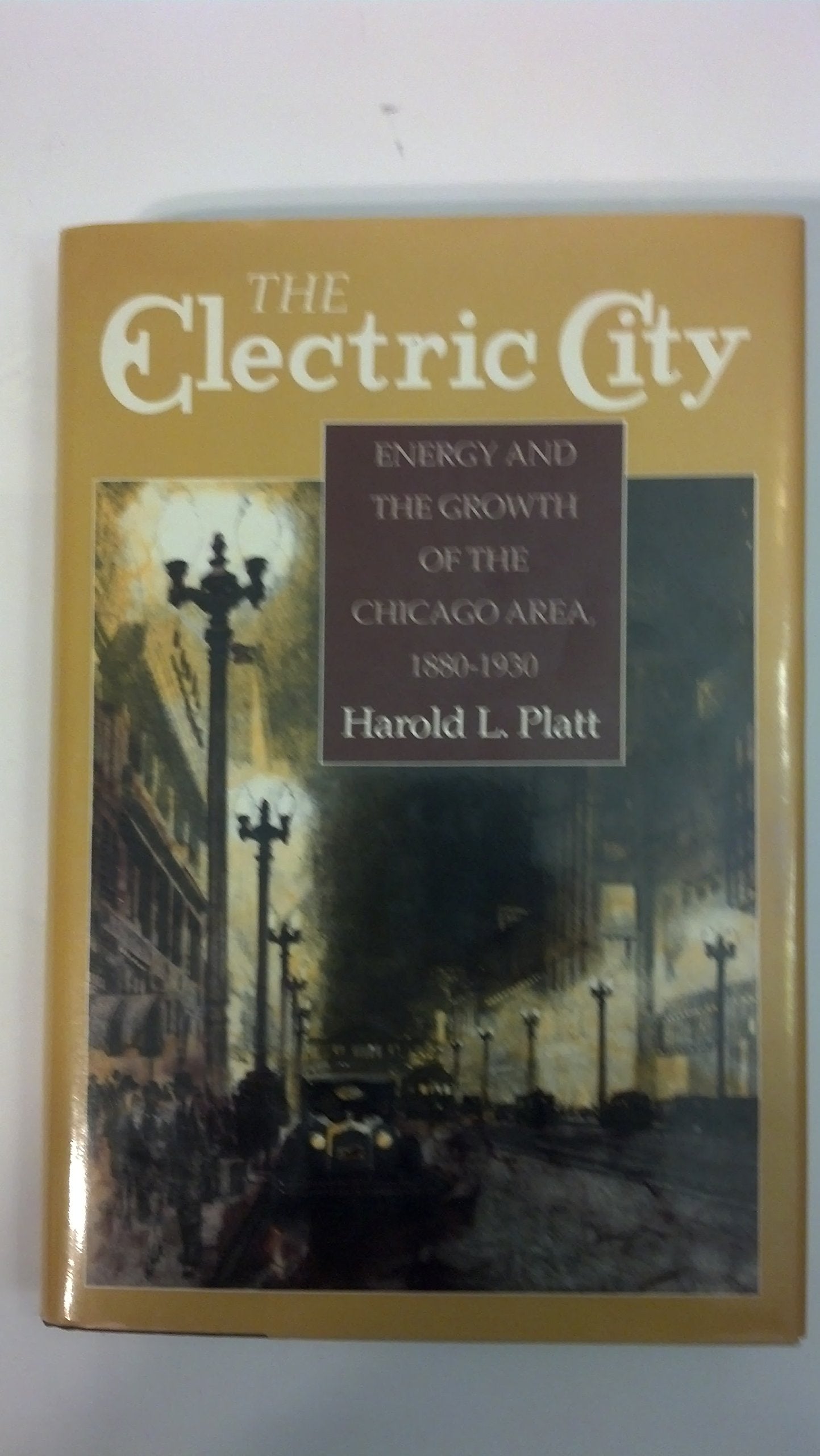The Electric City: Energy and the Growth of the Chicago Area, 18801930,New