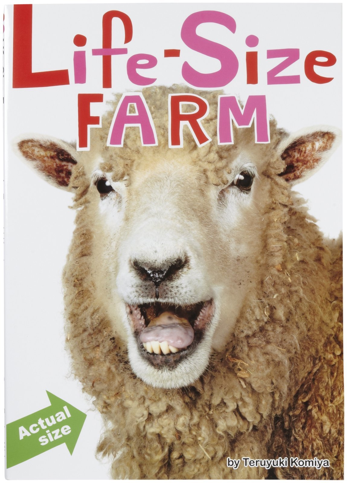 LifeSize Farm,Used