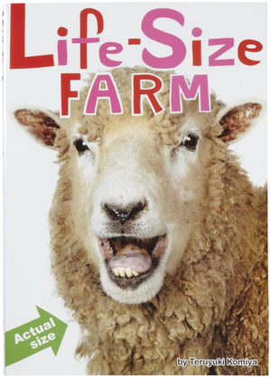LifeSize Farm,Used