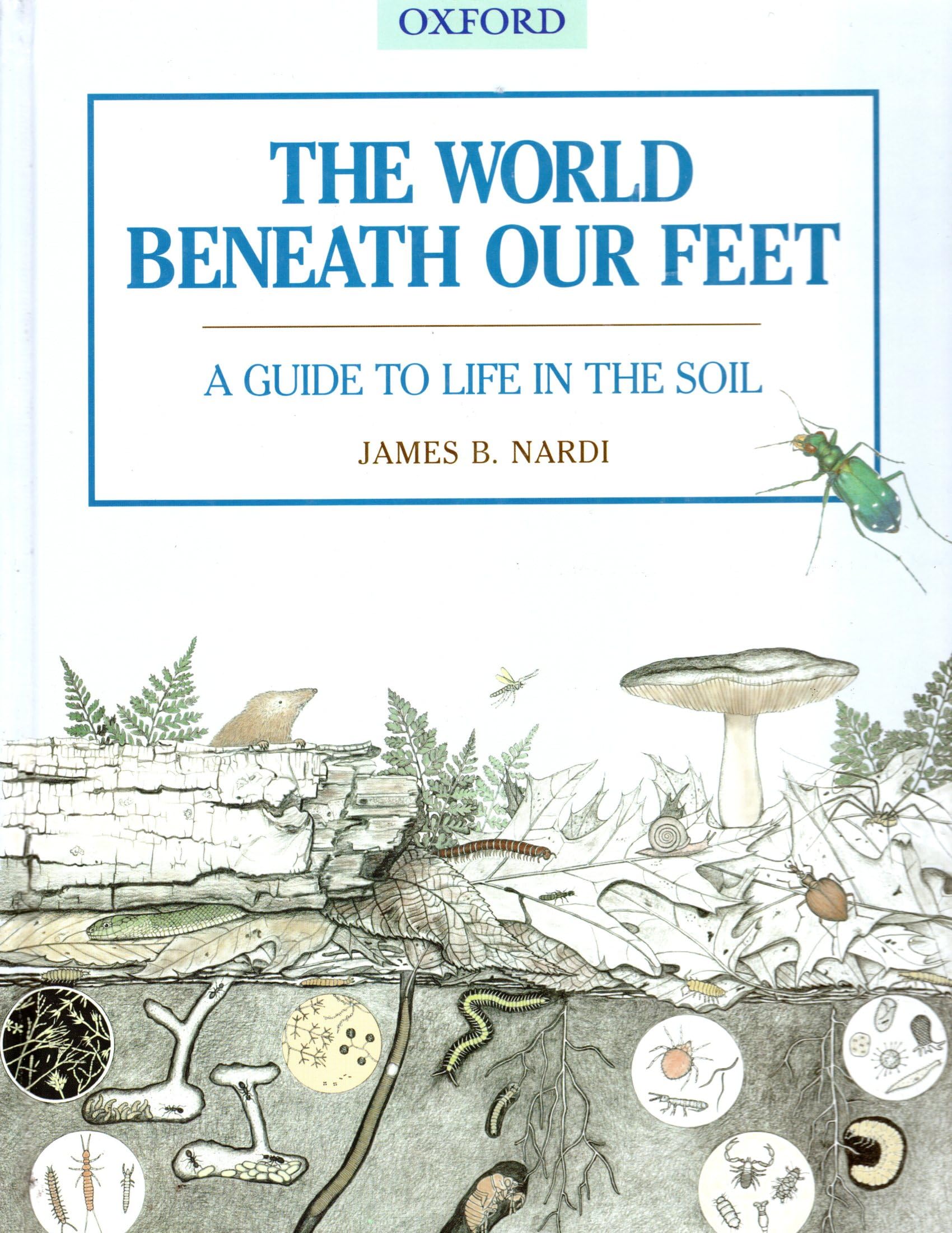 The World Beneath Our Feet: A Guide to Life in the Soil,Used