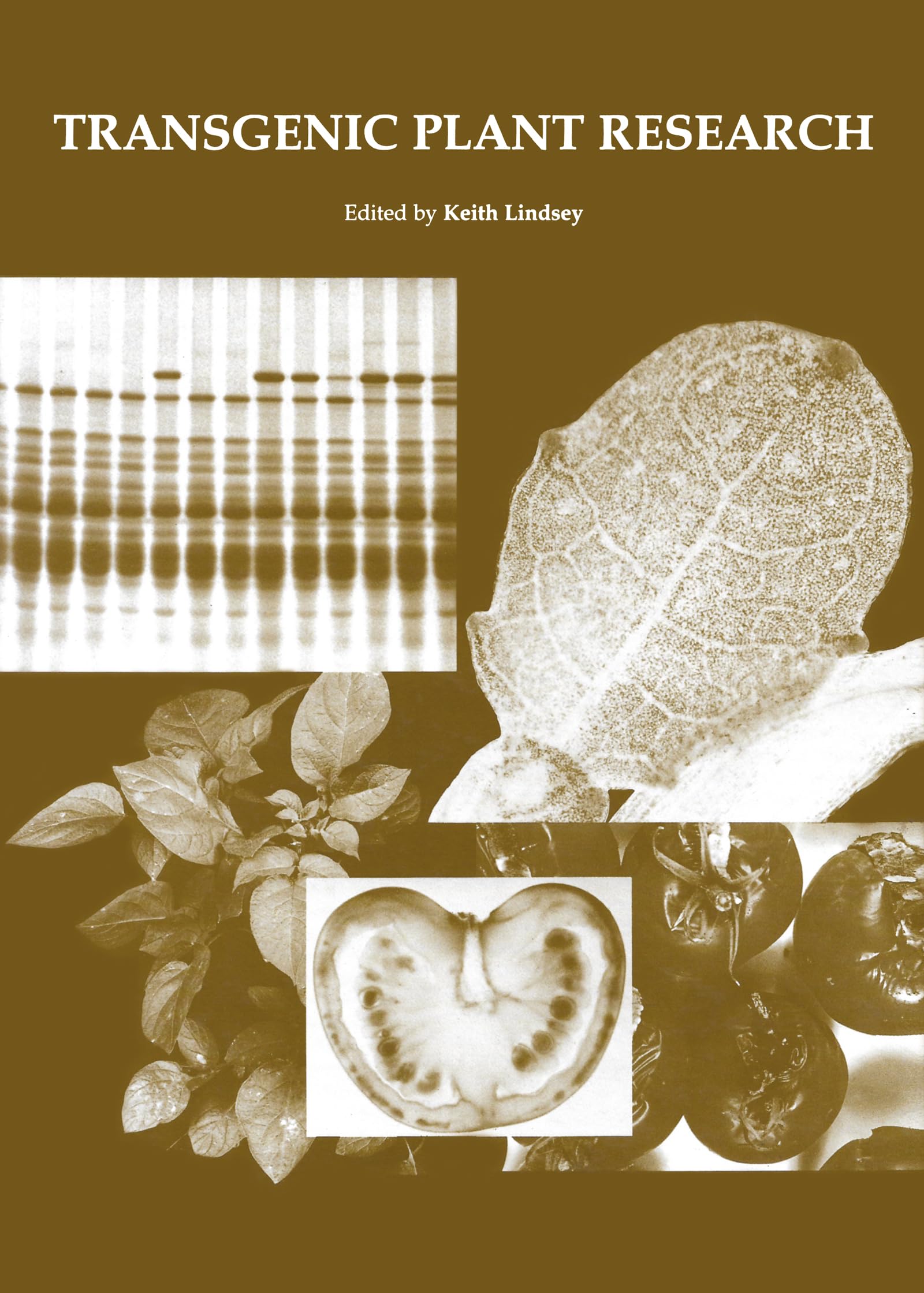 Transgenic Plant Research,Used