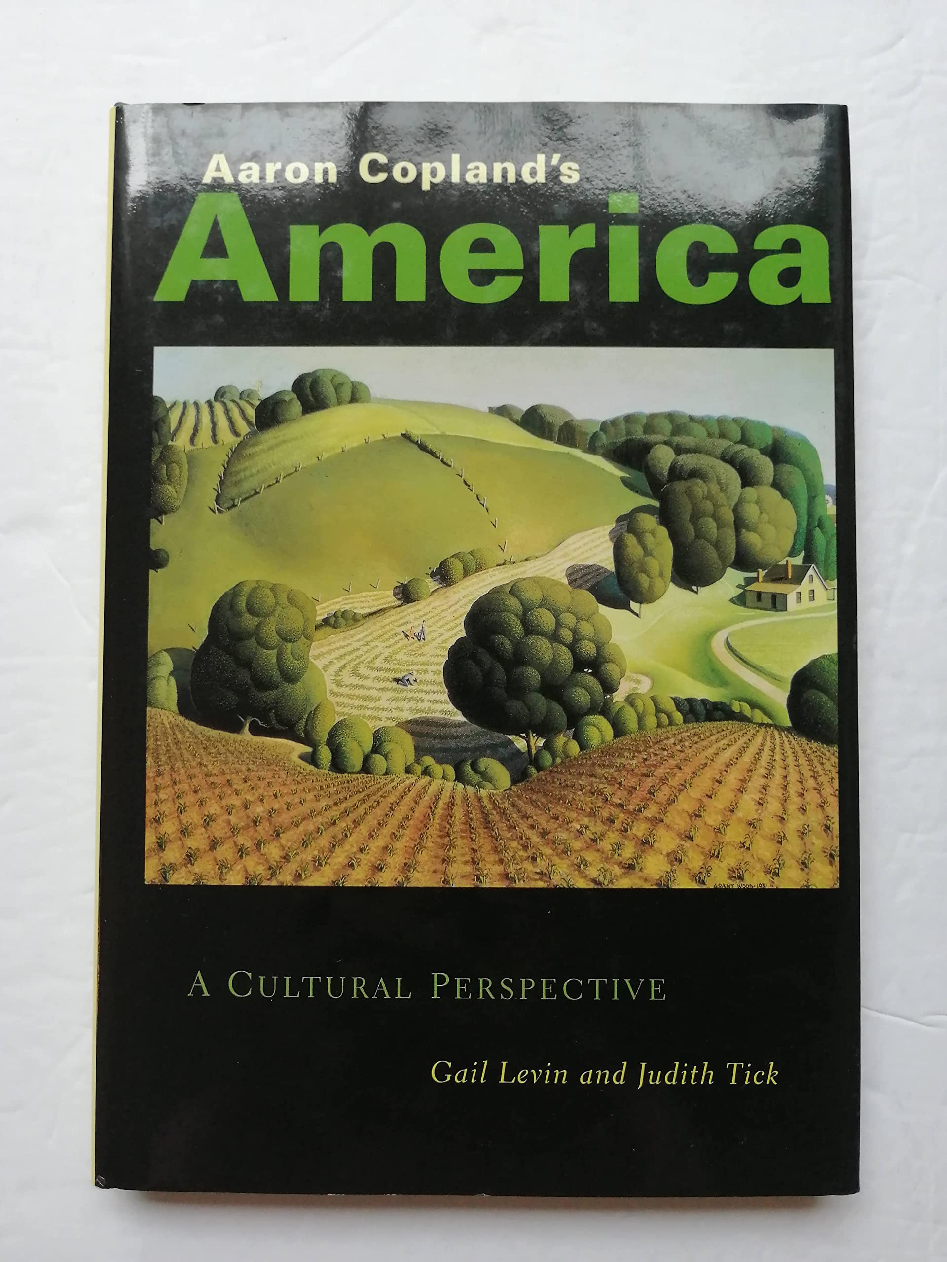 Aaron Copland's America: A Cultural Perspective,Used