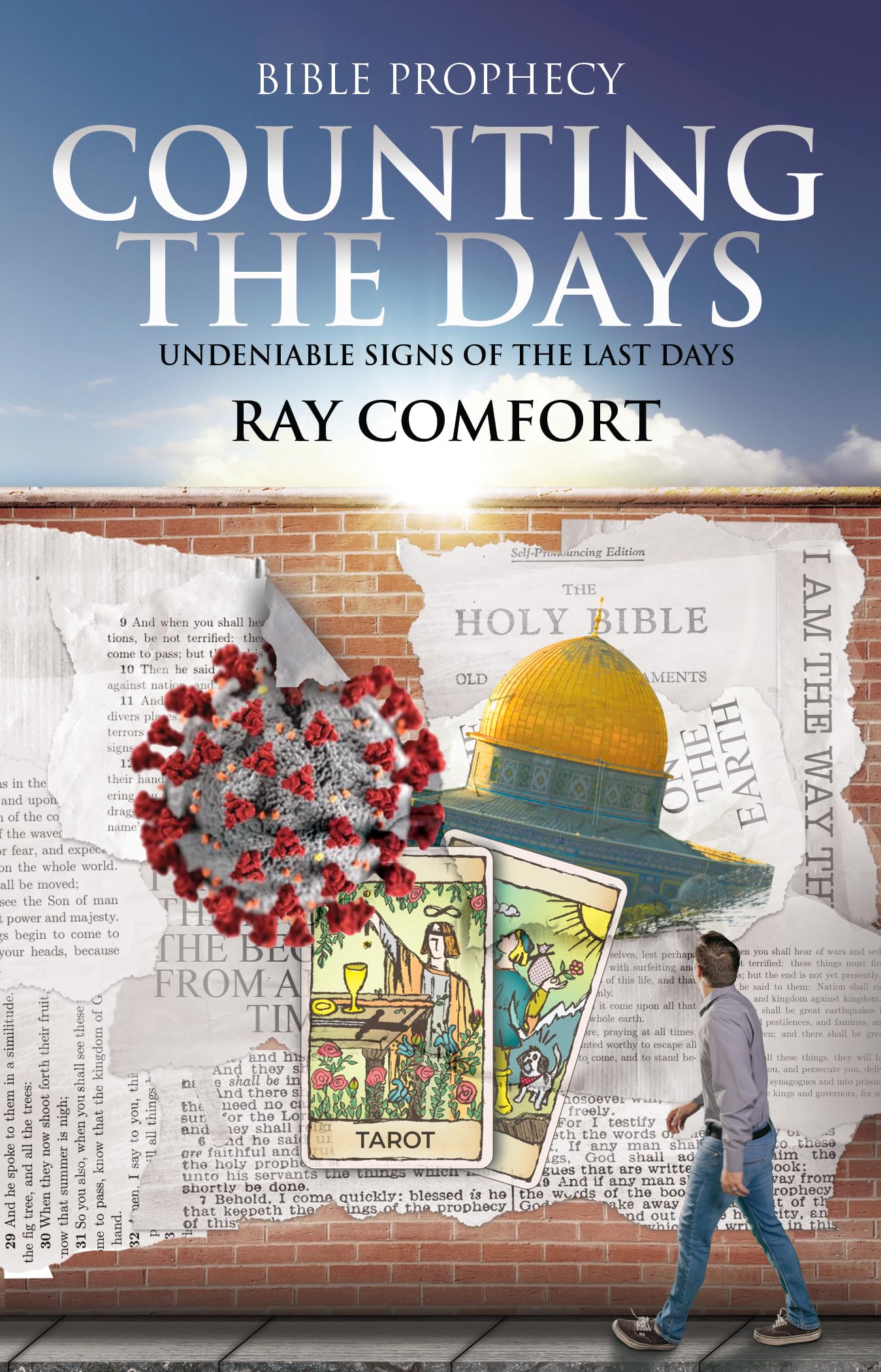 Counting the Days: Undeniable Signs of the Last Days,Used