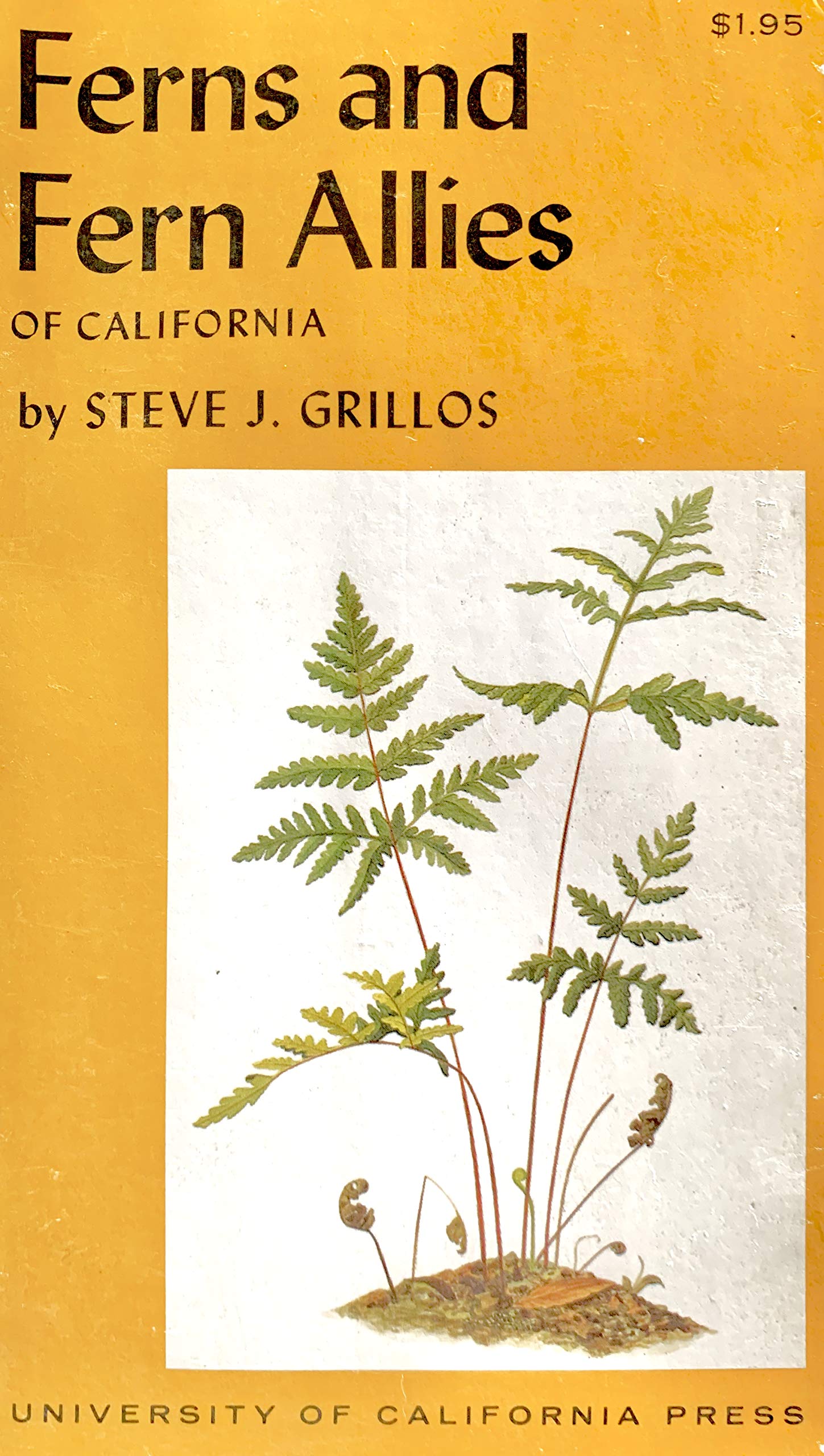 Ferns and Fern Allies of California (California Natural History Guides),Used