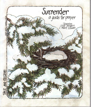 Surrender A Guide for Prayer (Take & Receive Series) (Take and Receive),Used