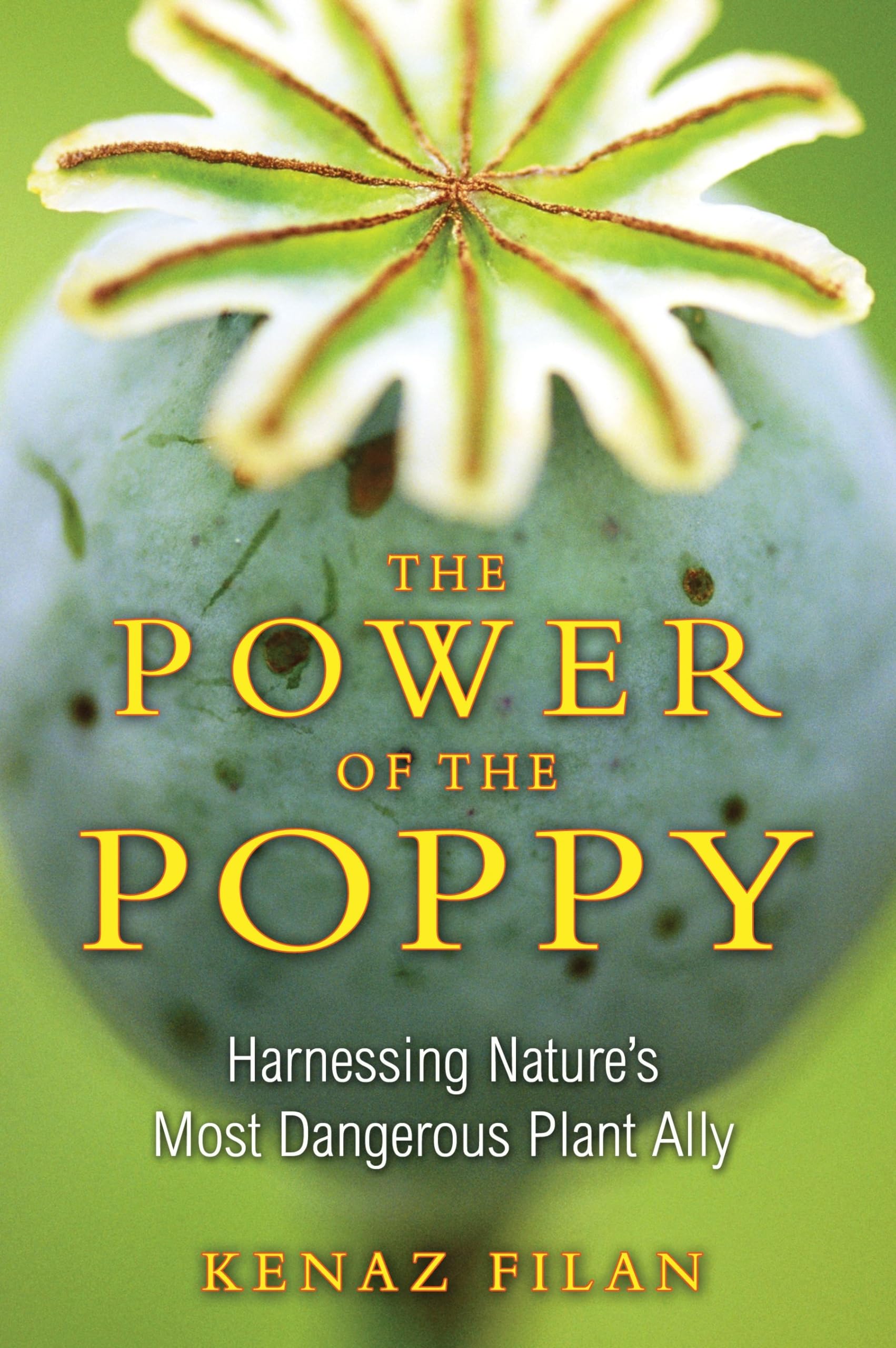 The Power Of The Poppy: Harnessing Nature'S Most Dangerous Plant Ally