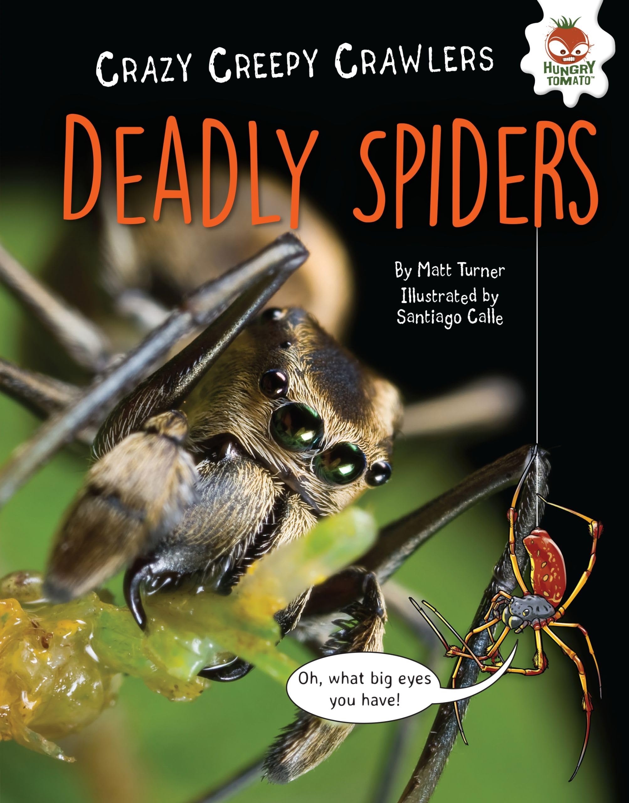 Deadly Spiders (Crazy Creepy Crawlers),Used