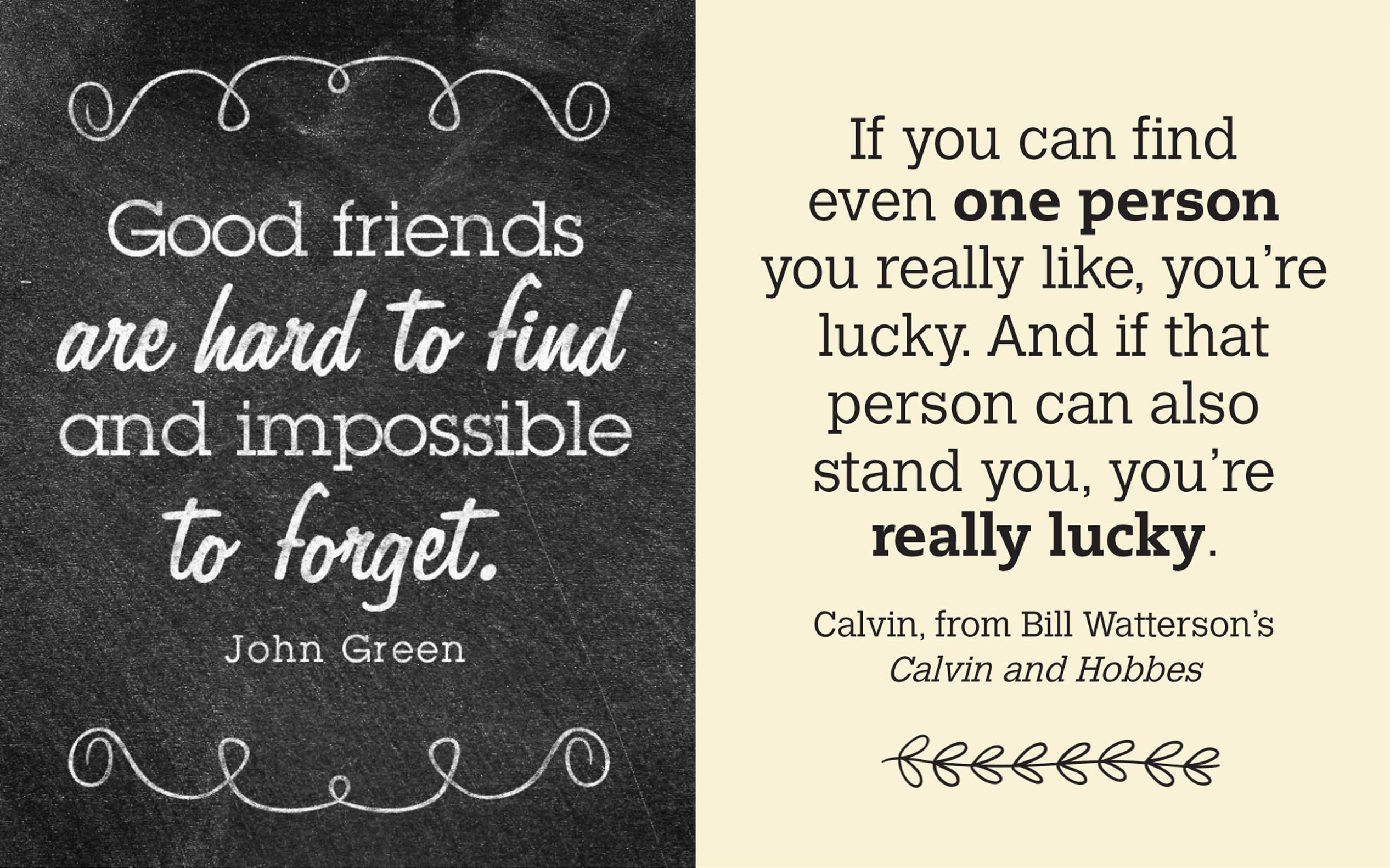 Friends: The Family We Choose (Mini Book)
