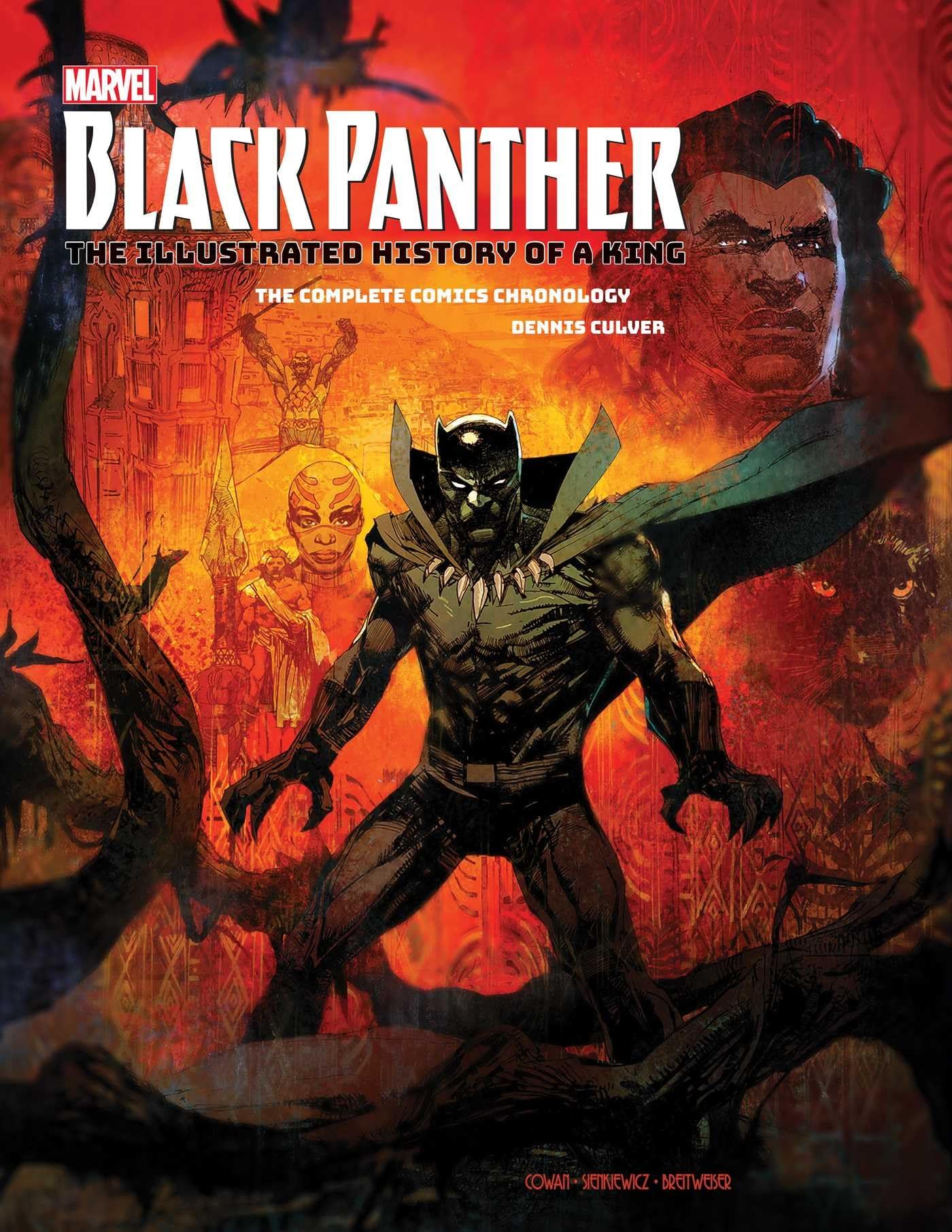 Marvel's Black Panther: The Illustrated History of a King: The Complete Comics Chronology,Used