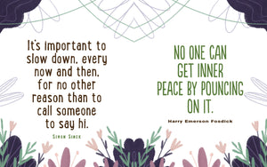 Sloth Wisdom (mini book),Used