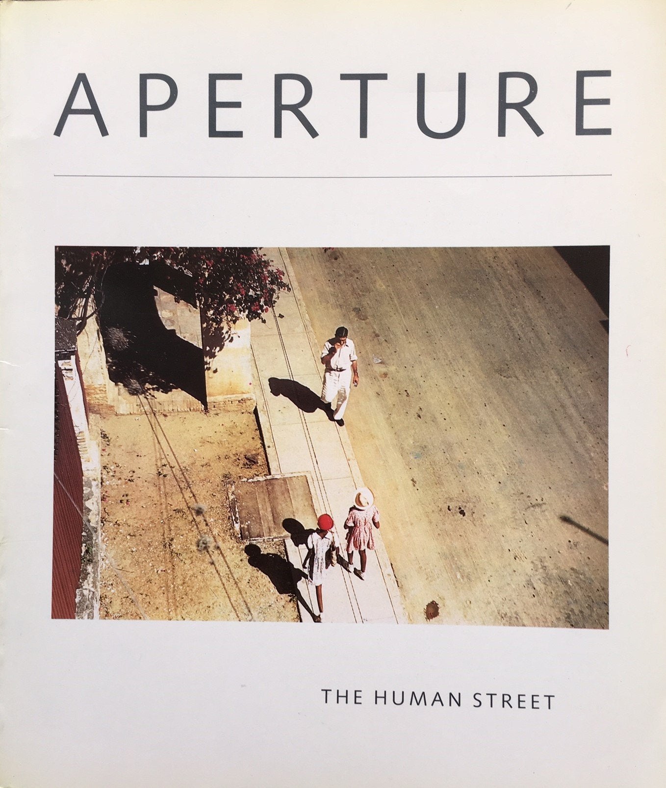 Aperture: The Human Street/Winter 1985 (Aperture 101),Used