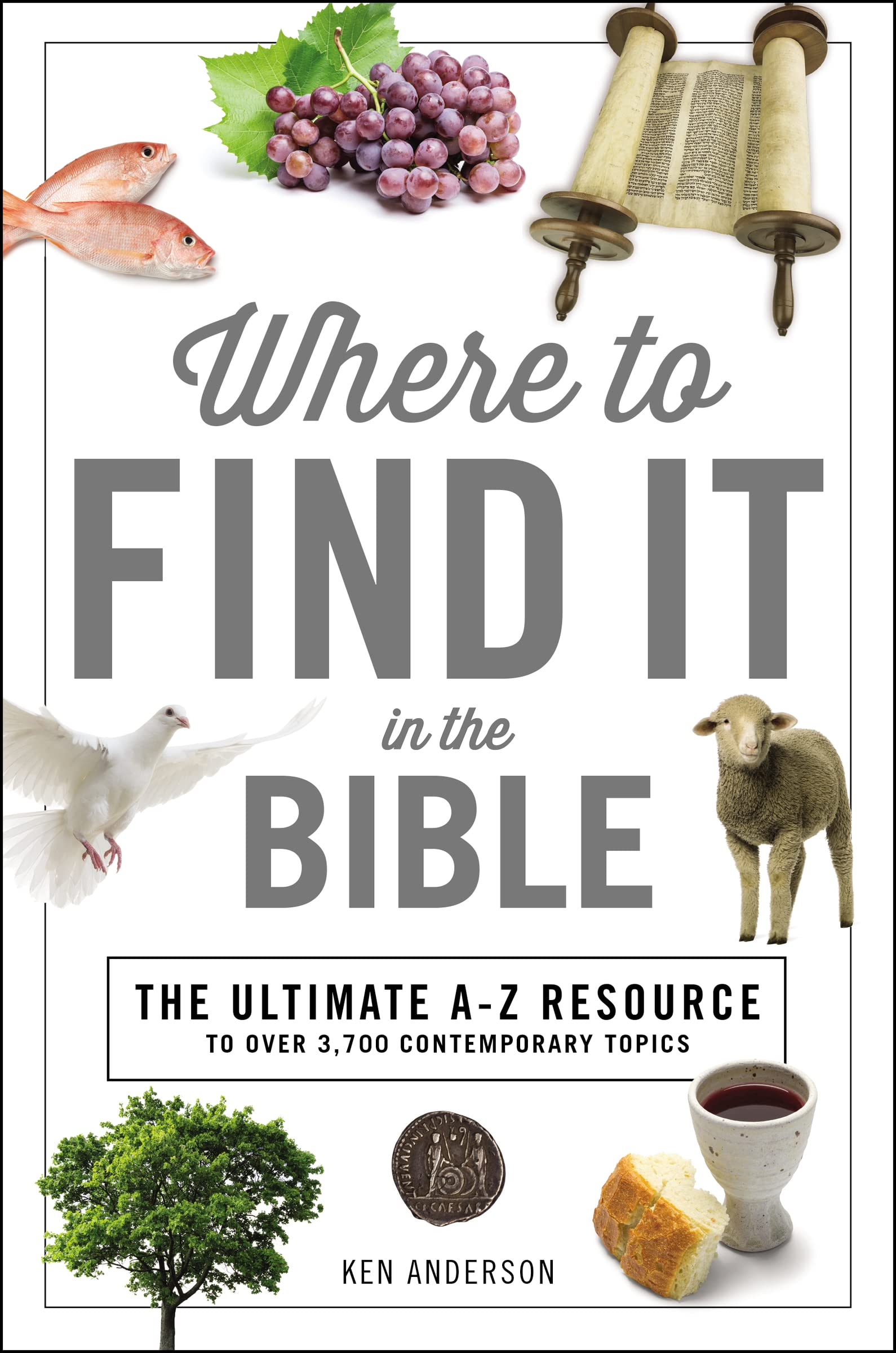 Where to Find It in the Bible (A to Z Series),Used